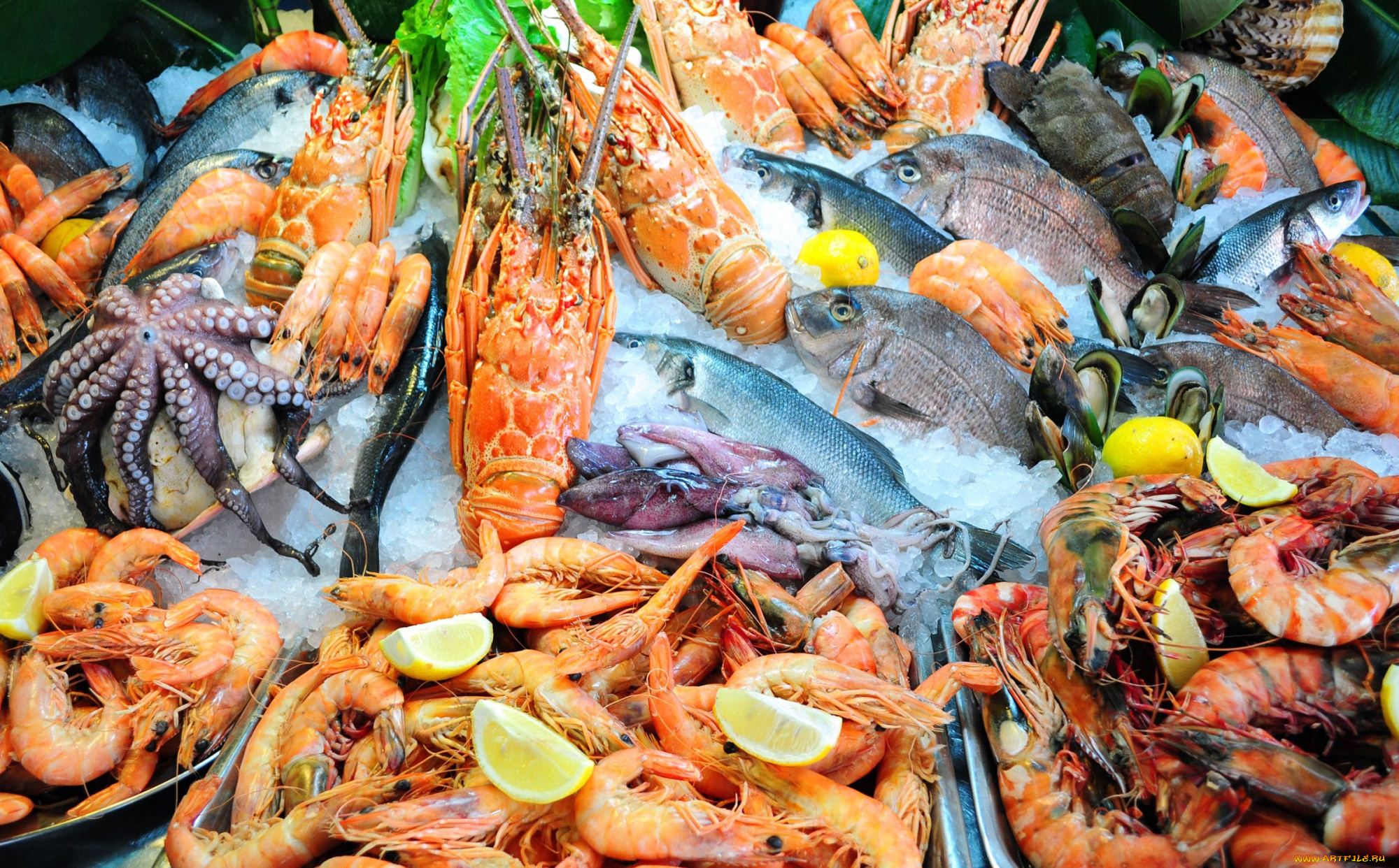 еда, рыба, , морепродукты, , суши, , роллы, креветки, осьминог, свежая, ассорти