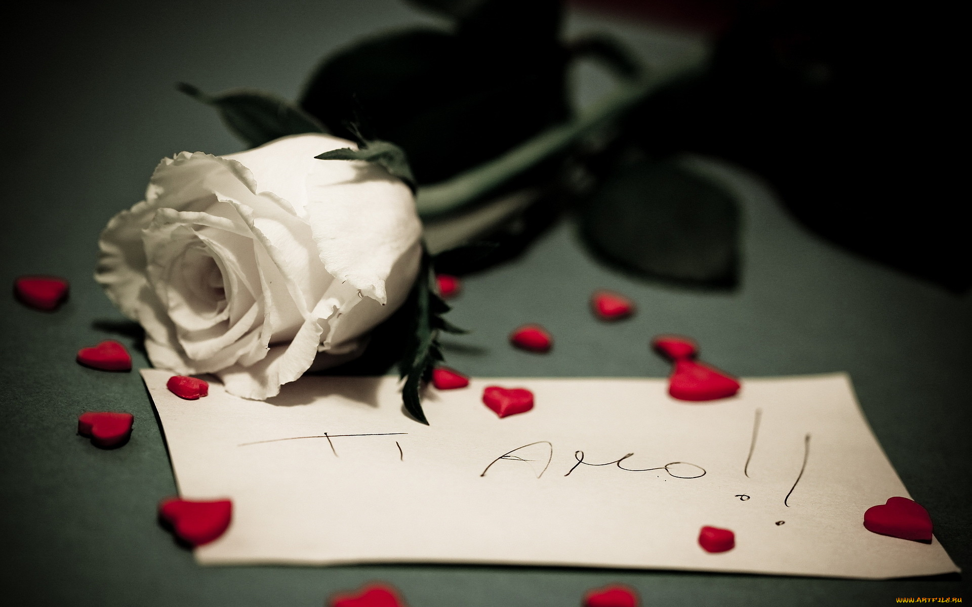 цветы, розы, роза, сердечки, записка, признание