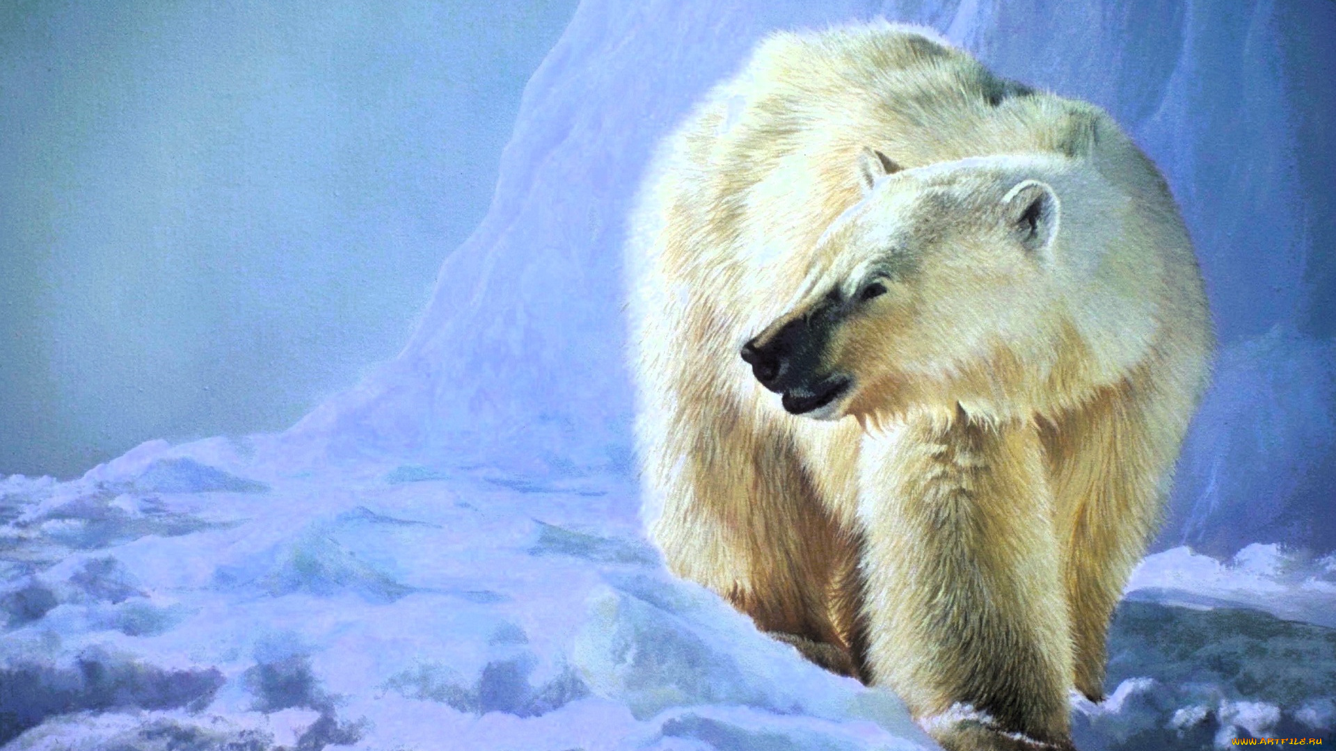 рисованное, животные, , медведи, белый, медведь, снег, льды