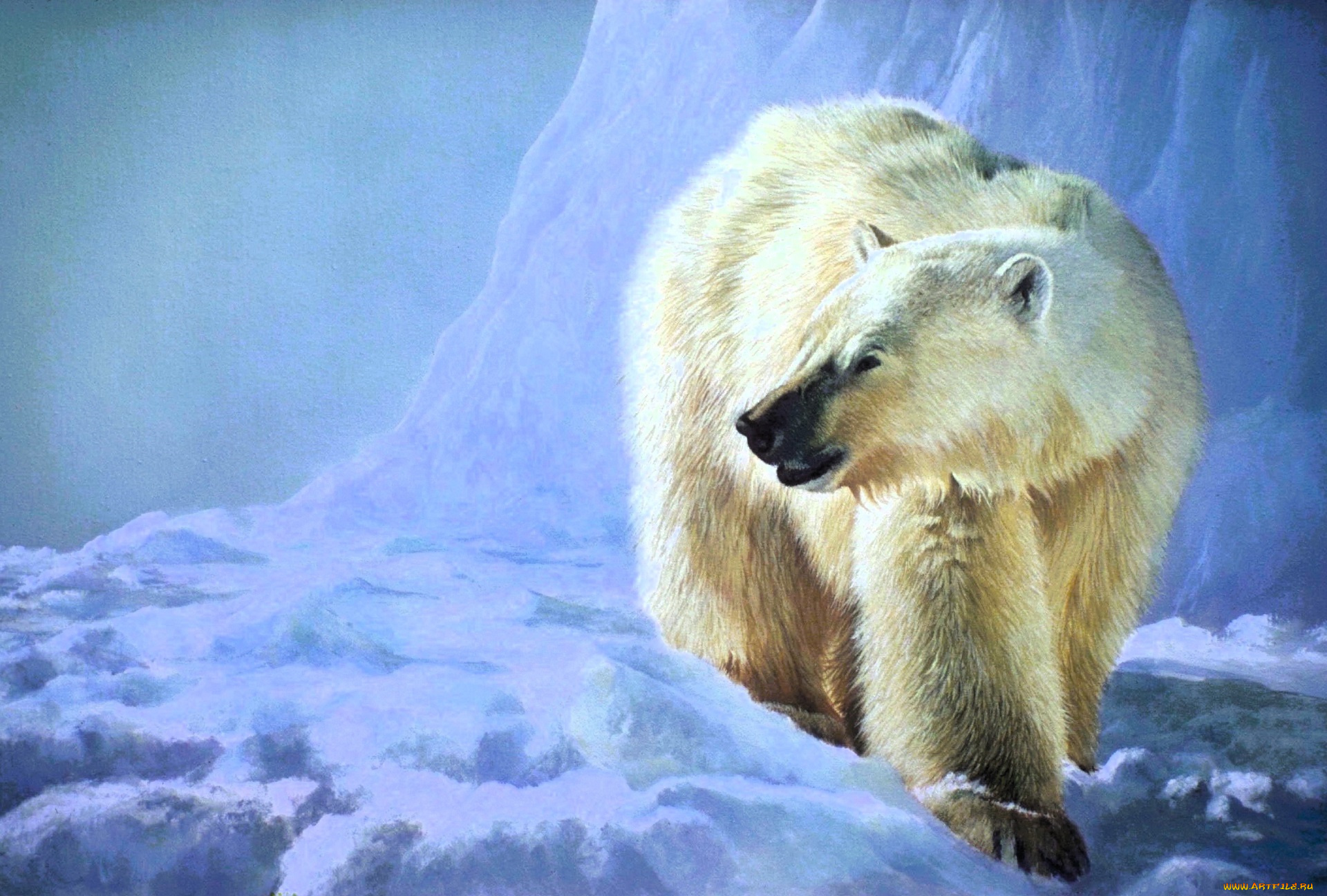 рисованное, животные, , медведи, белый, медведь, снег, льды