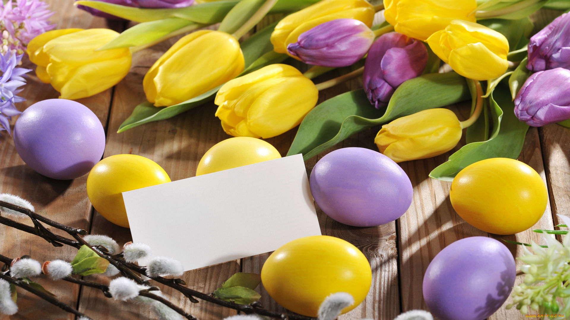 праздничные, пасха, яйца, flowers, spring, eggs, easter, тюльпаны, цветы, верба