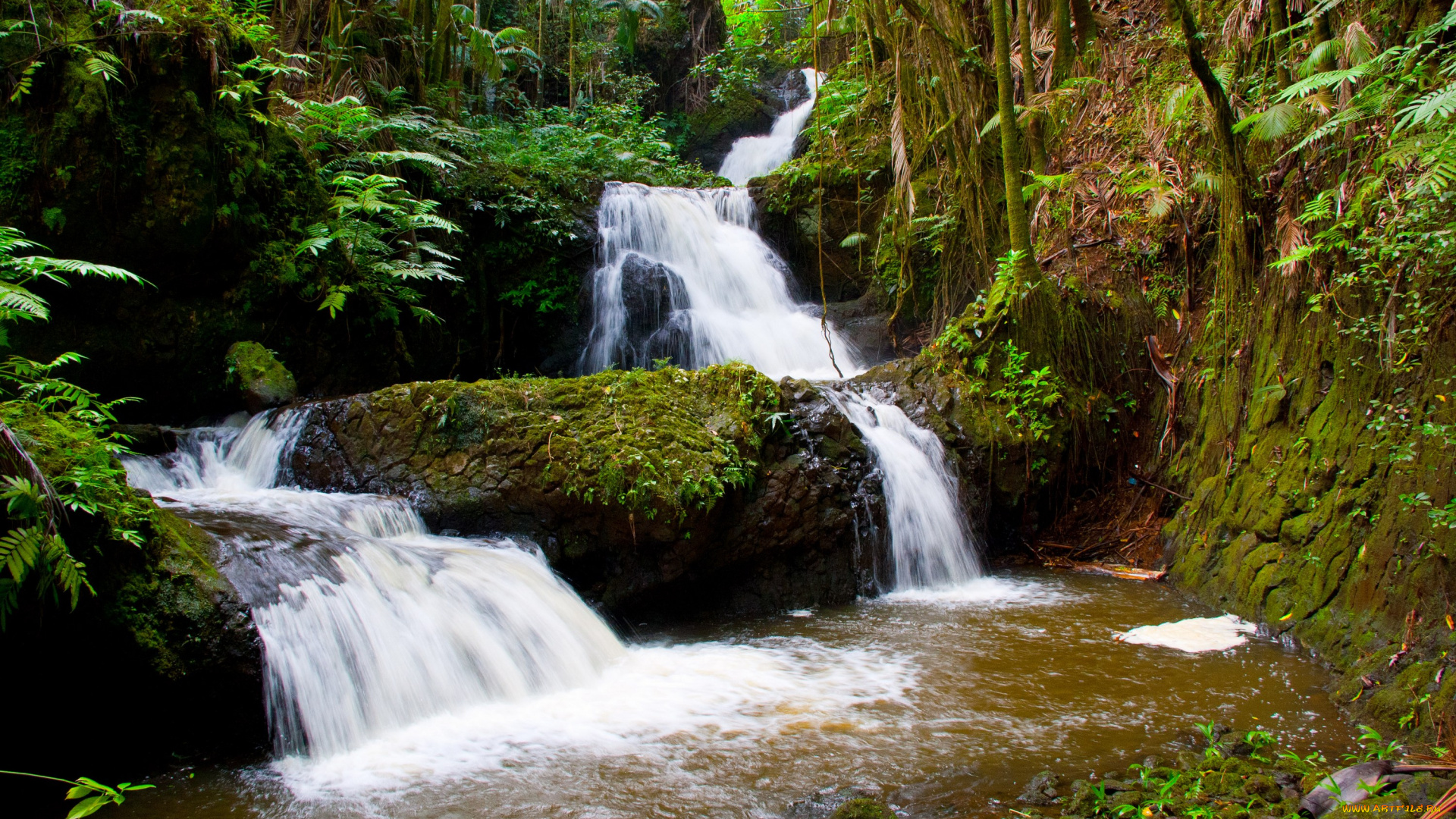 природа, водопады, гавайи