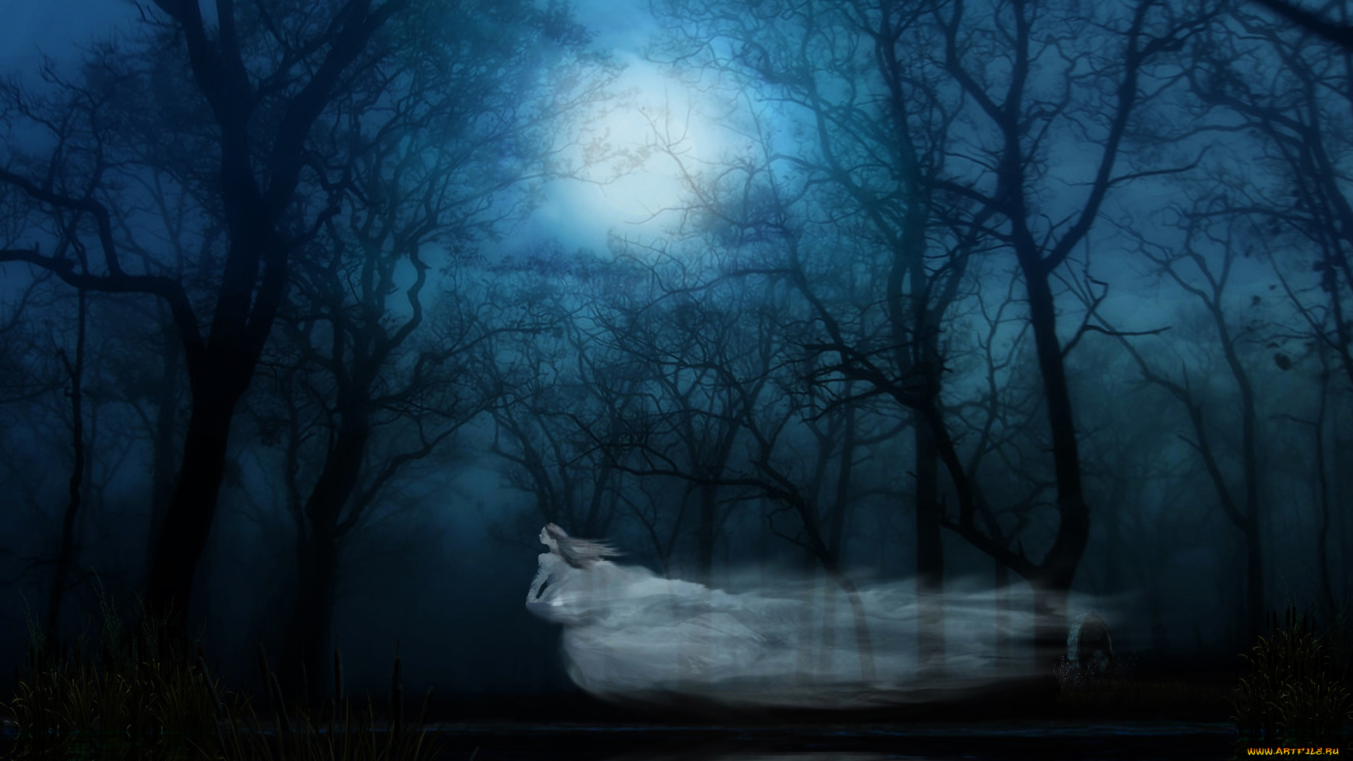 фэнтези, призраки, ночь, лес, фантом, привидение, призрак, ghost