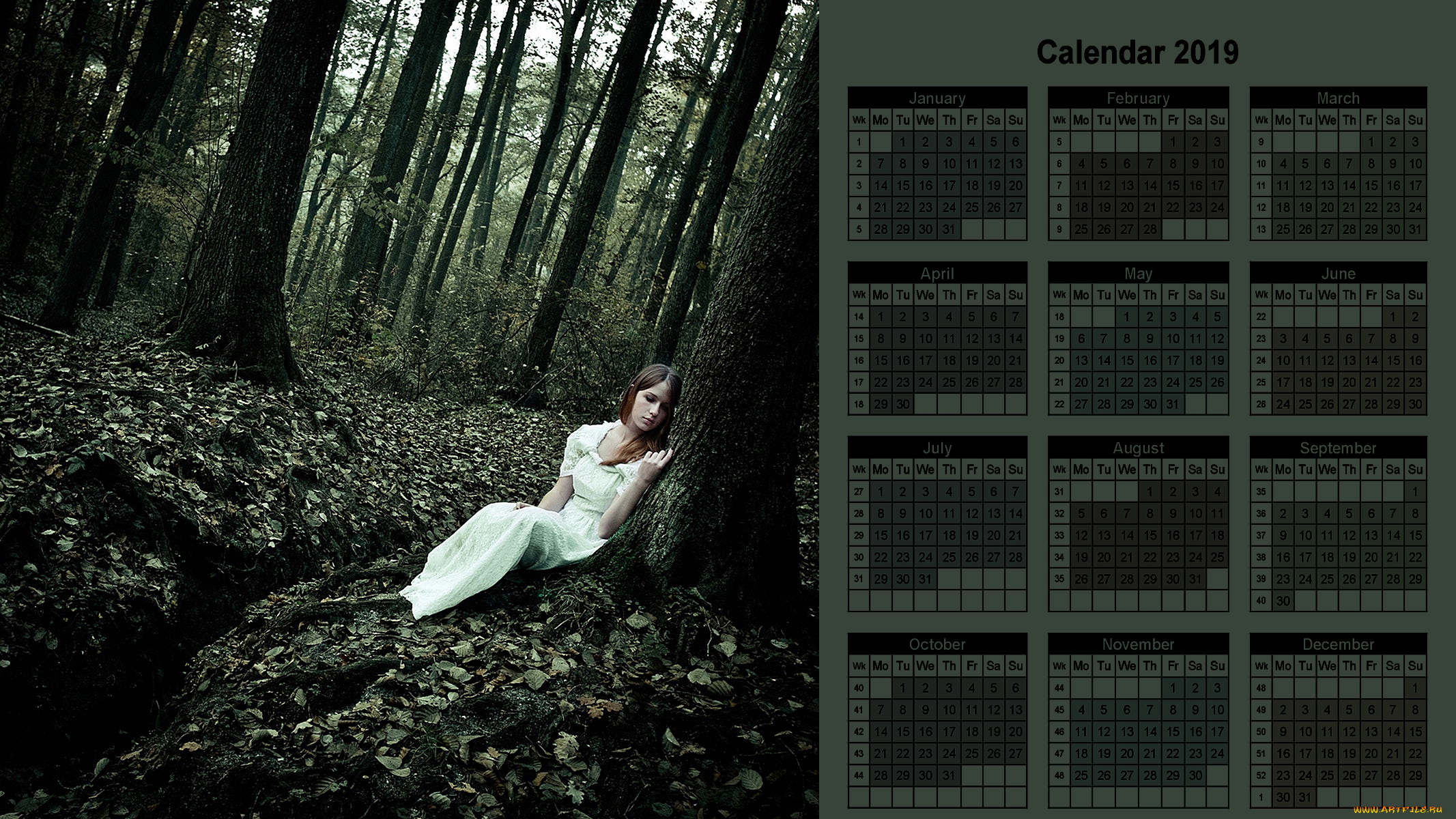 календари, девушки, лес, деревья