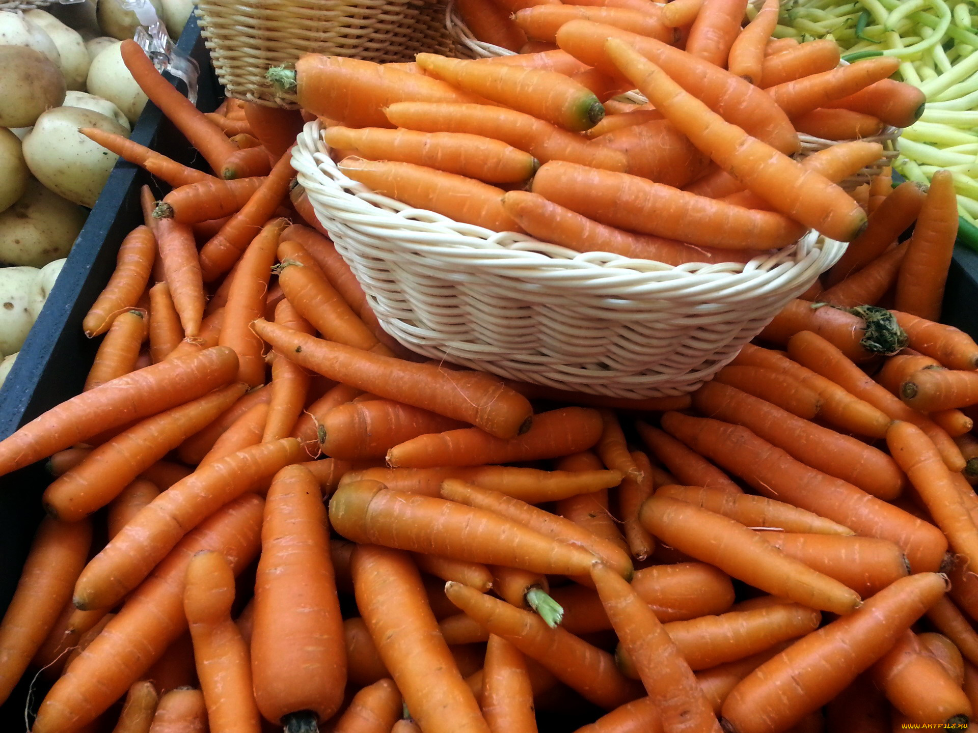 еда, морковь, урожай