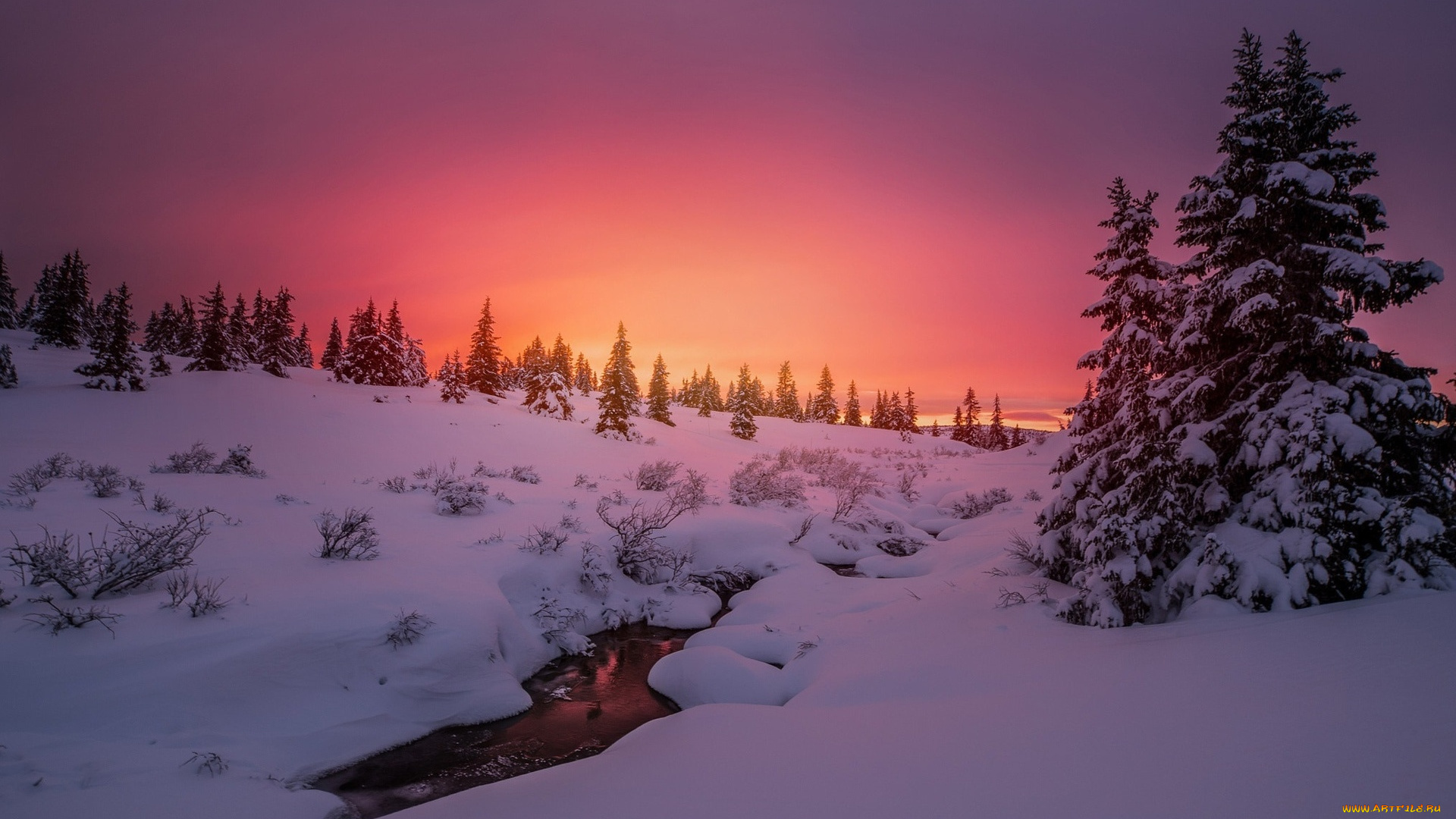 природа, зима, широкоформатные, снег, небо, красивые, деревья, вода