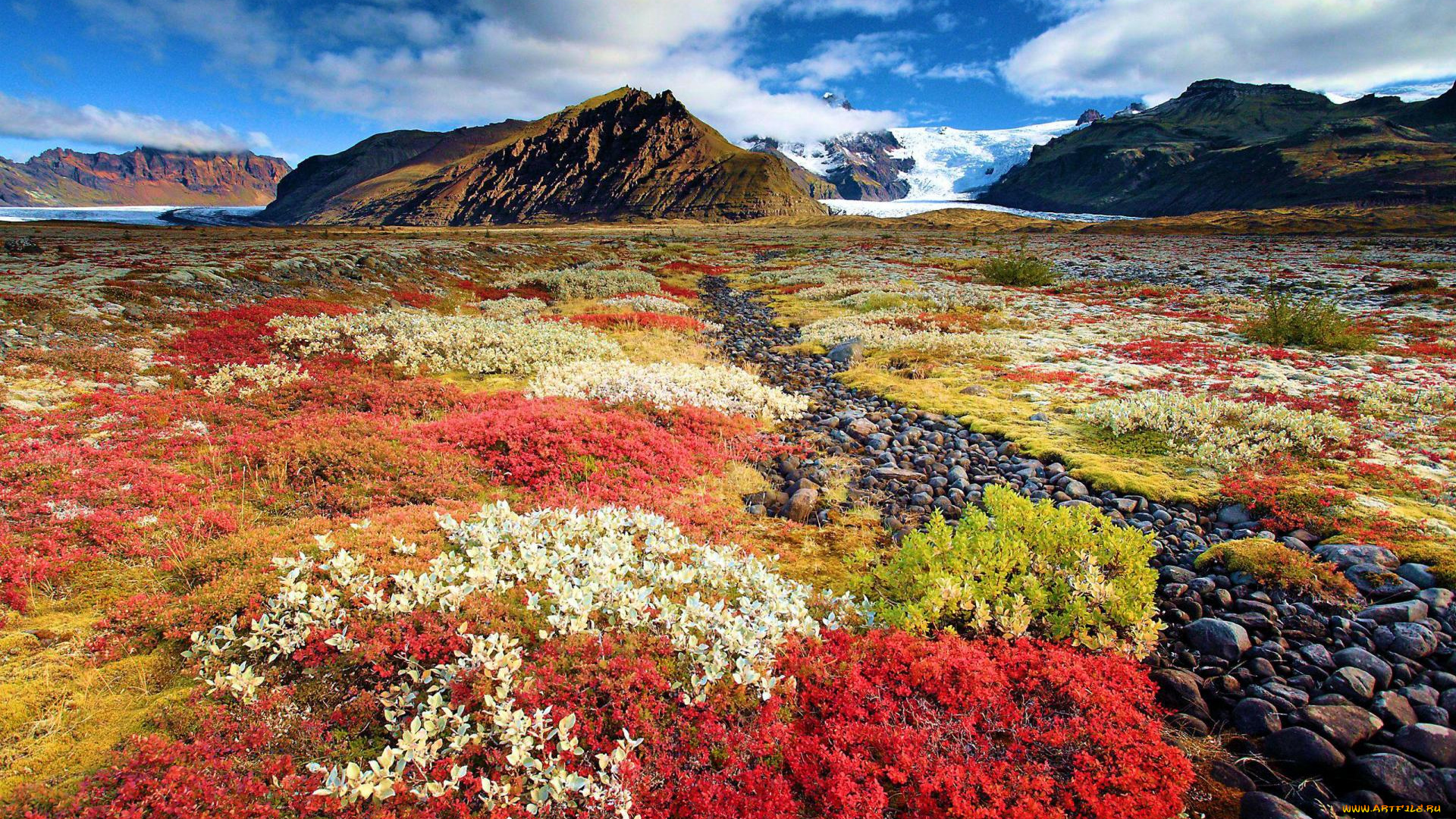 природа, луга, камни, снег, горы, цветы, луг, облака, небо, осень, исландия
