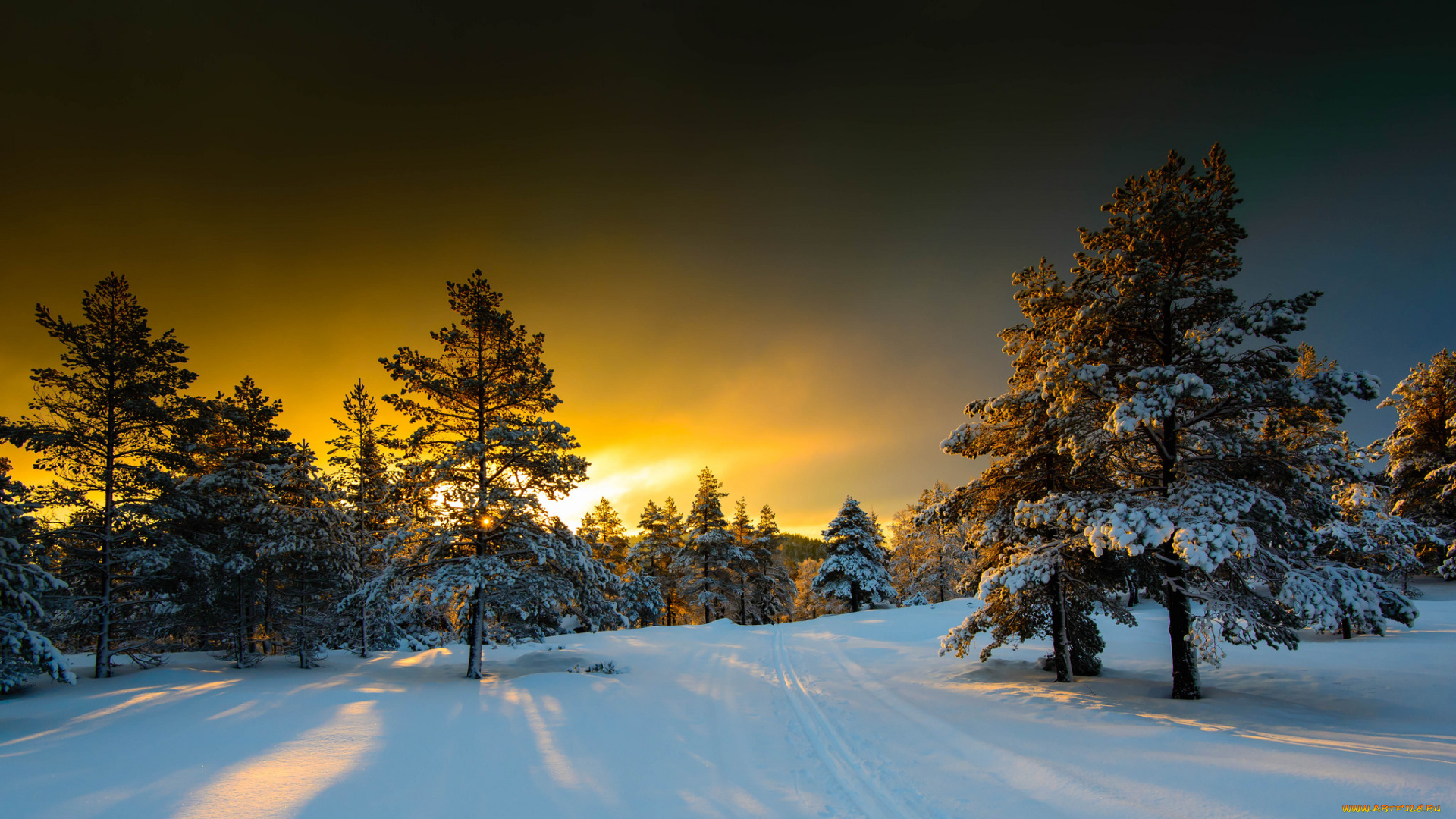 природа, зима, деревья, снег, тучи, свет