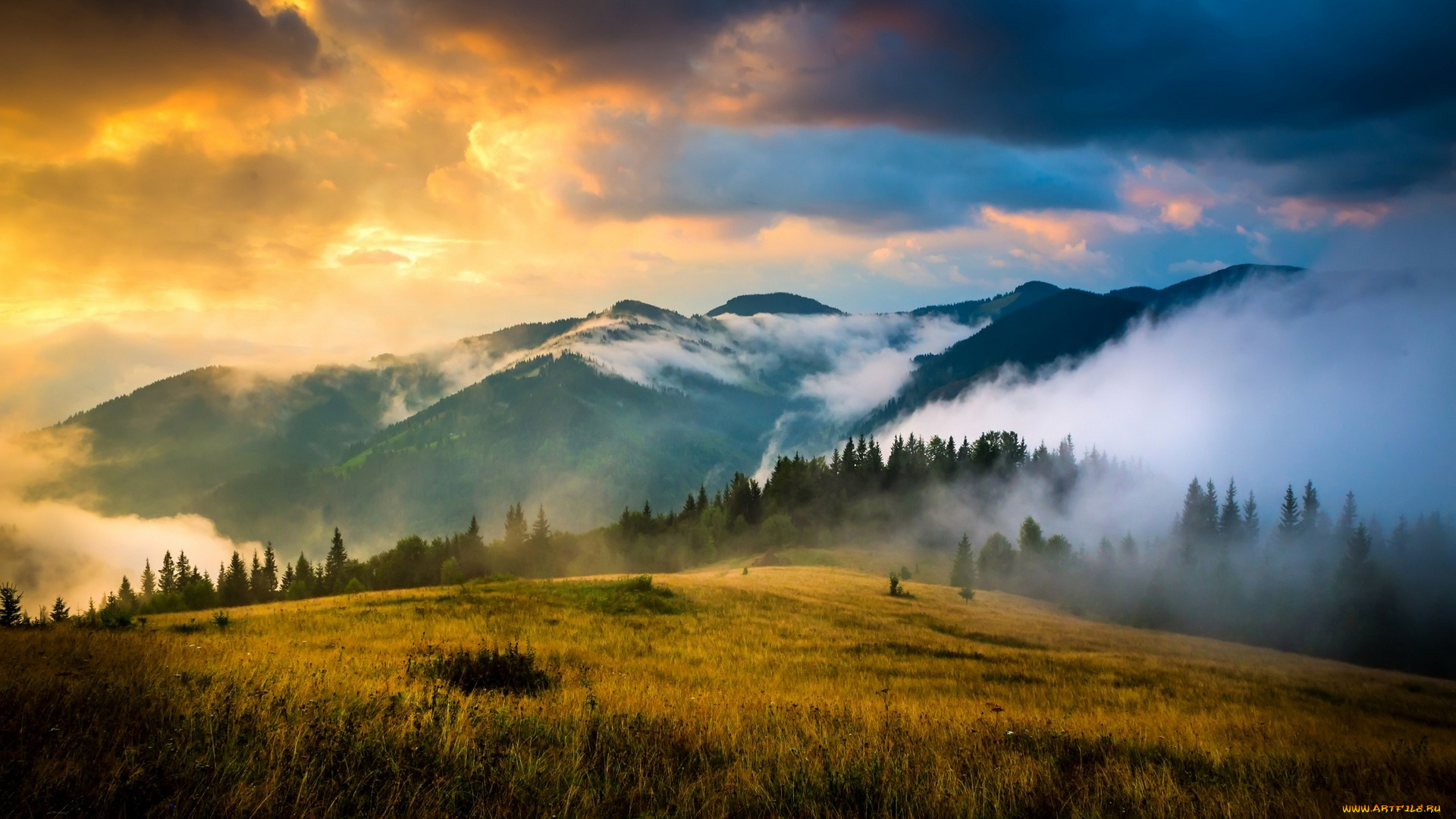 украина, природа, пейзажи, трава, деревья, холмы, облака