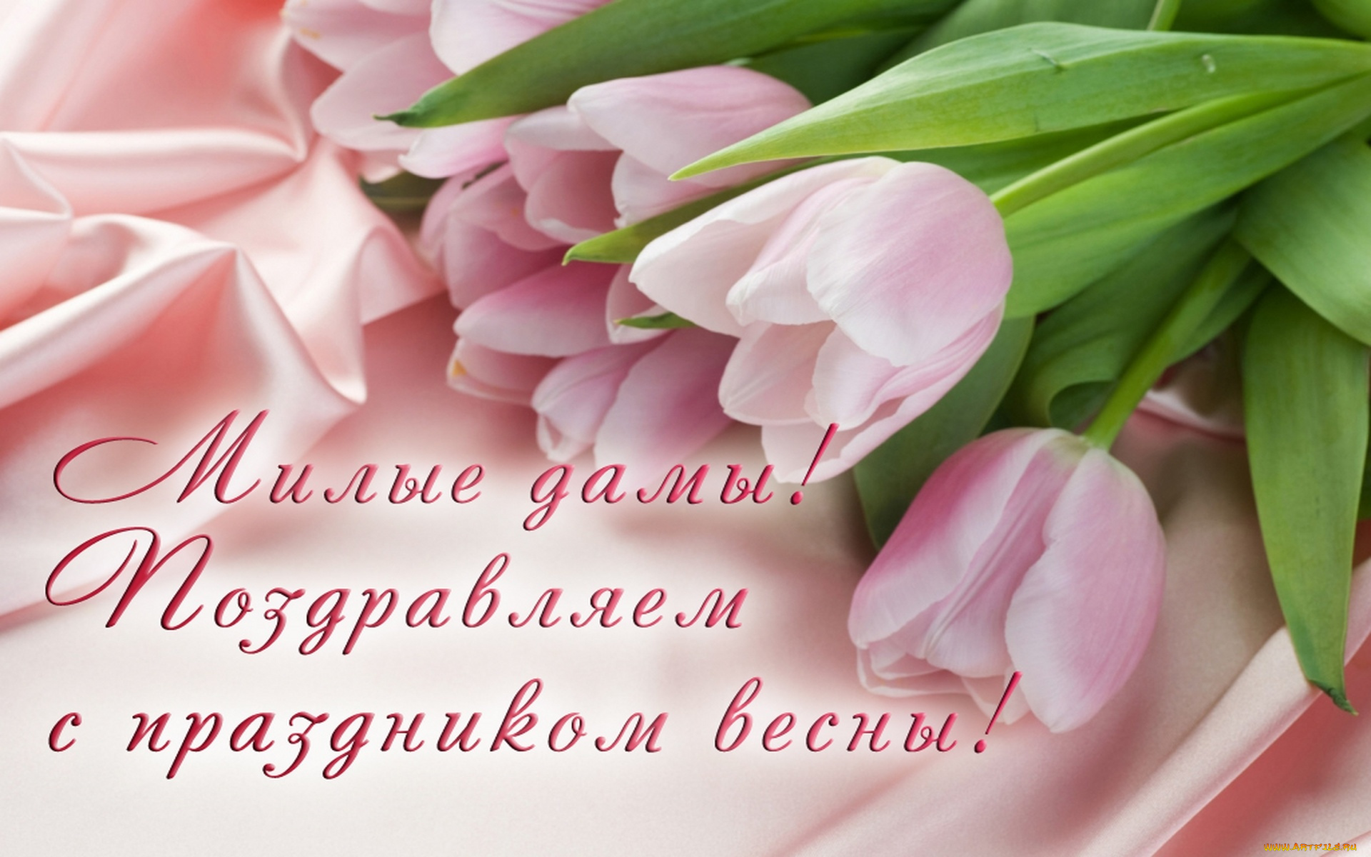 праздничные, международный, женский, день, -, 8, марта, тюльпаны