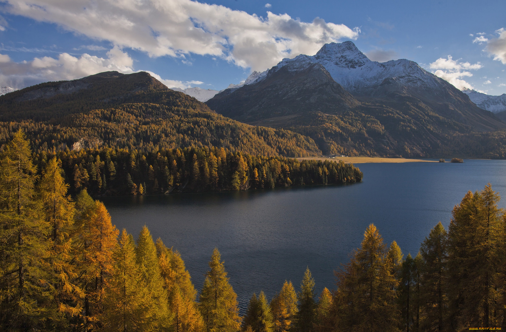 природа, пейзажи, швейцария, альпы, горы, switzerland, lake, sils, зильс-им-энгадин, деревья, озеро, зильс, alps, осень, лес, im, engadin