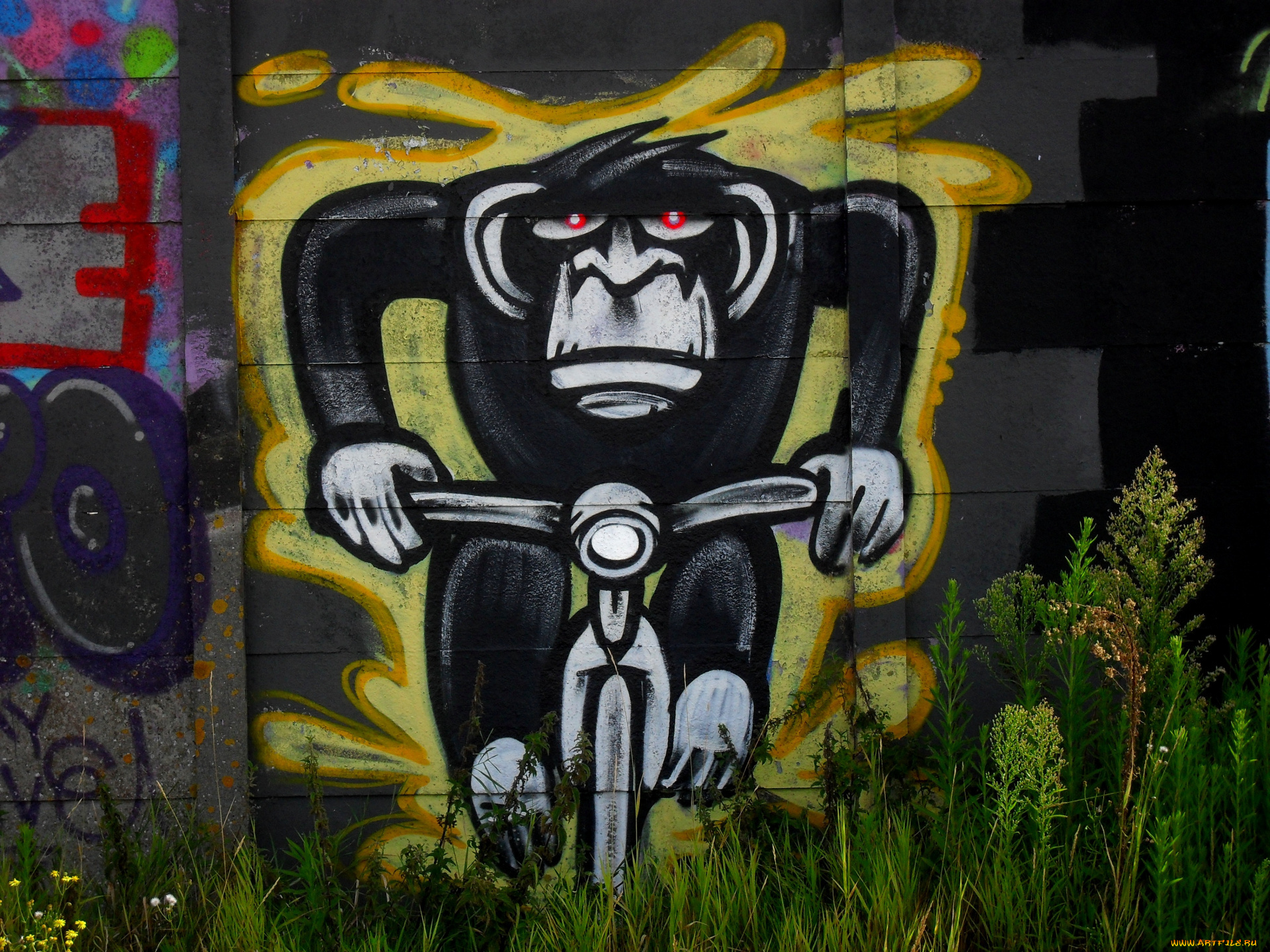 разное, граффити, стена, трава, забор, обезьяна
