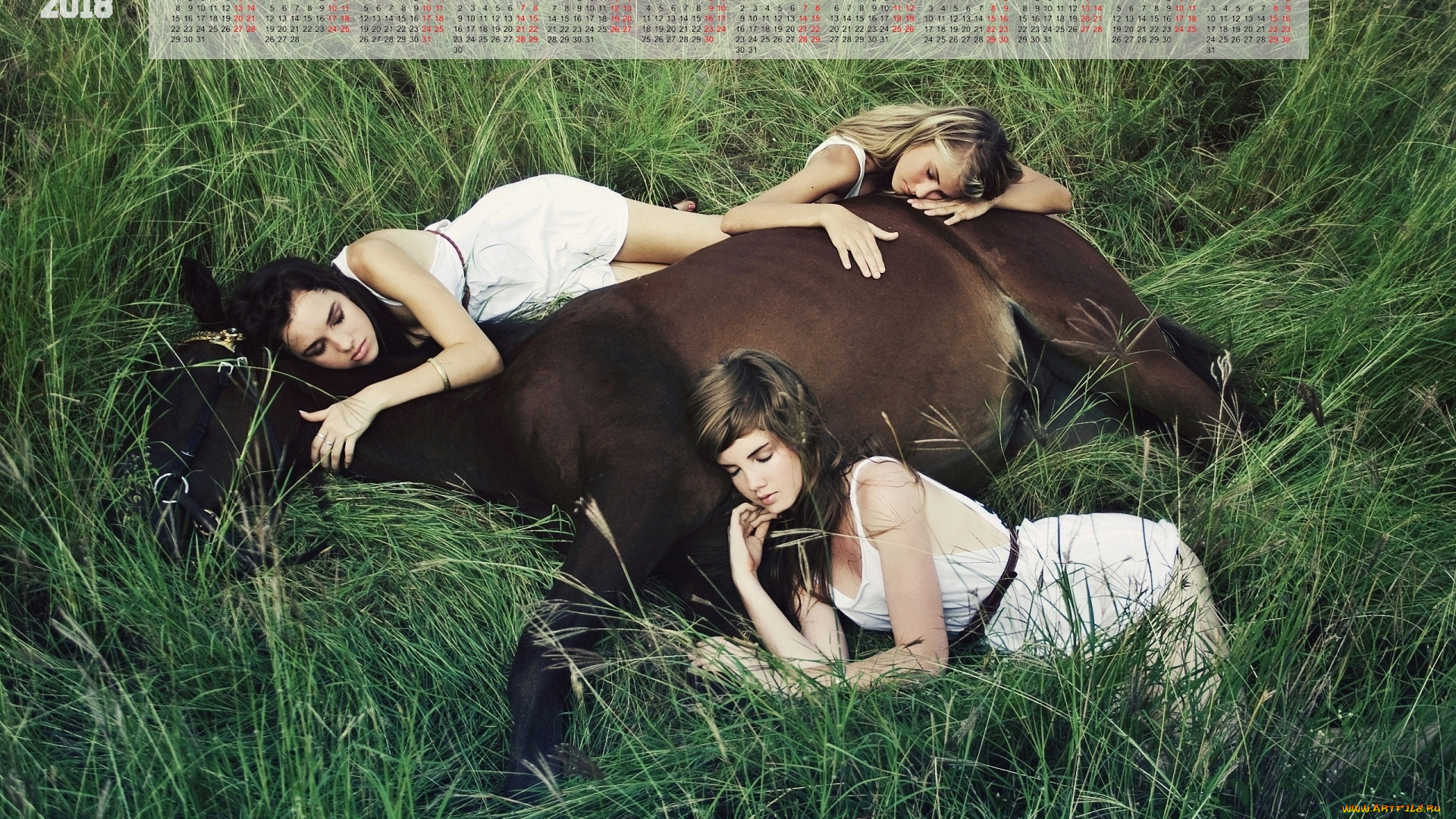 календари, девушки, трава, девушка, лошадь, отдых