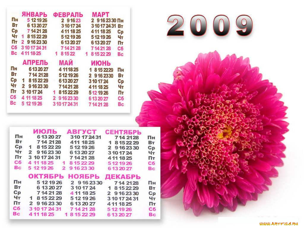 календарь, 2009, календари, цветы