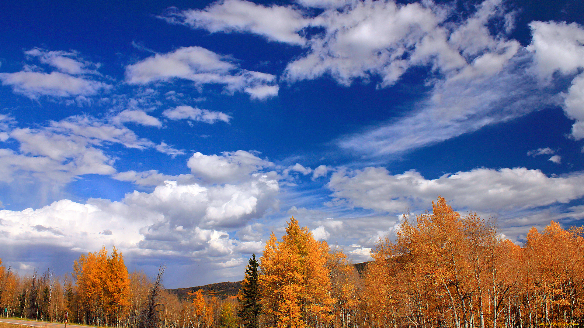 природа, деревья, осень, дорога, облака