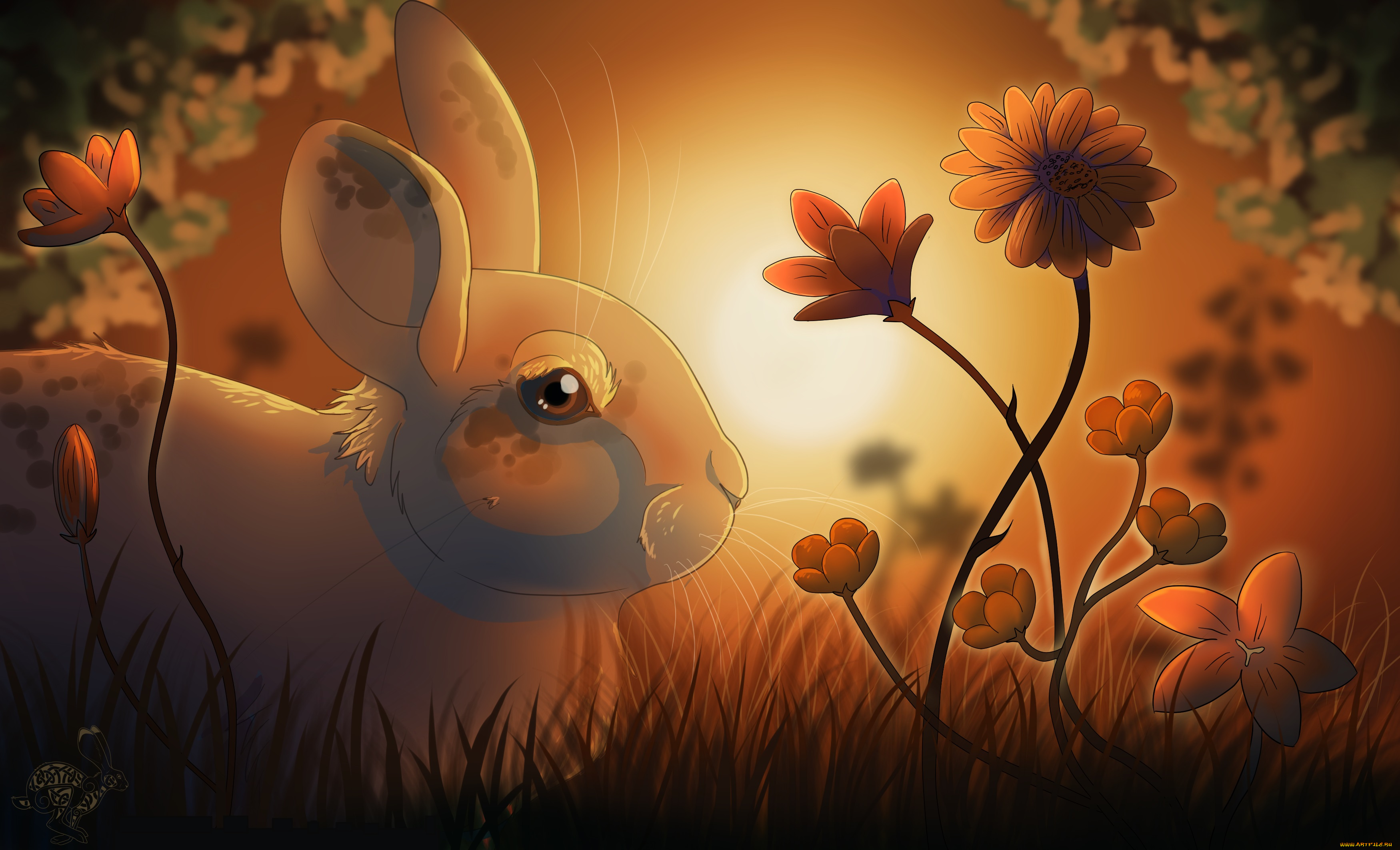 рисованные, животные, зайцы, кролики, цветы, заяц, осень