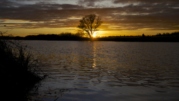Картинка природа восходы закаты закат облака небо солнце дерево вода озеро