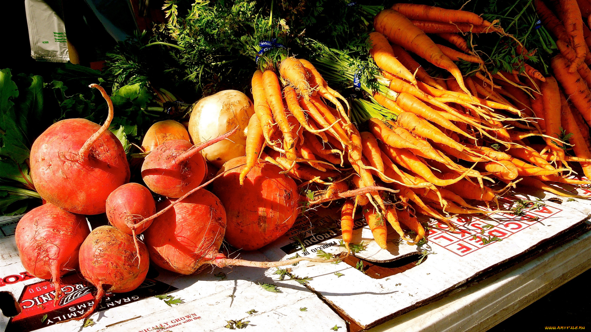 еда, овощи, морковка, свекла, прилавок