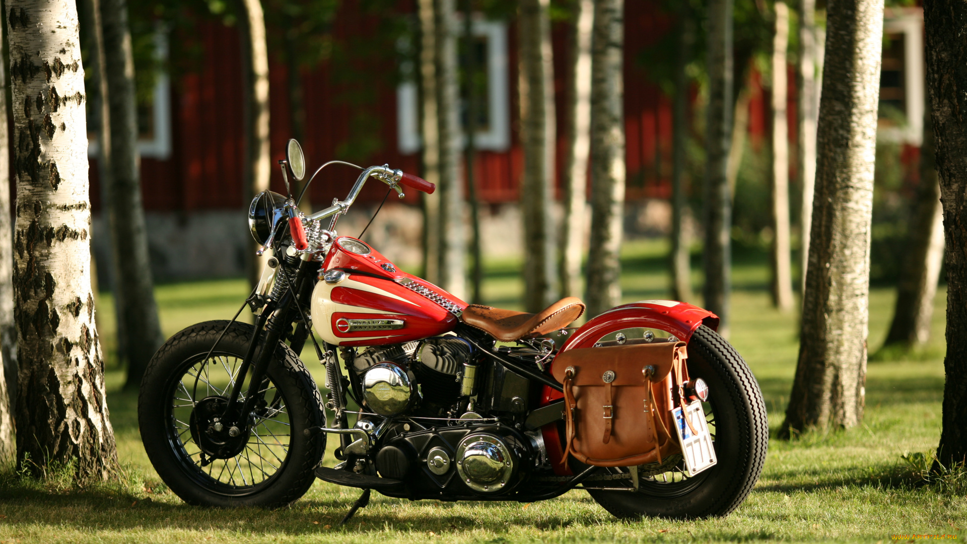 мотоциклы, harley-davidson, custom