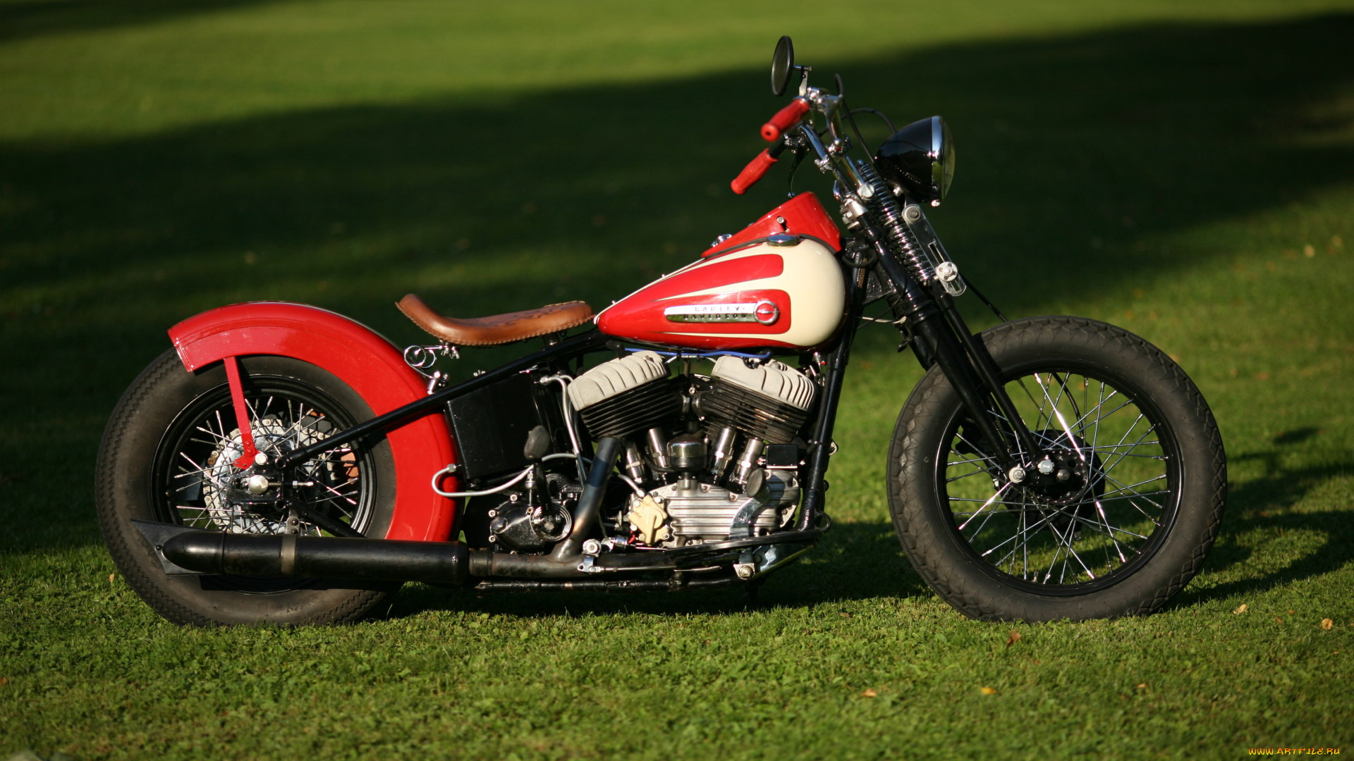 мотоциклы, harley-davidson, custom