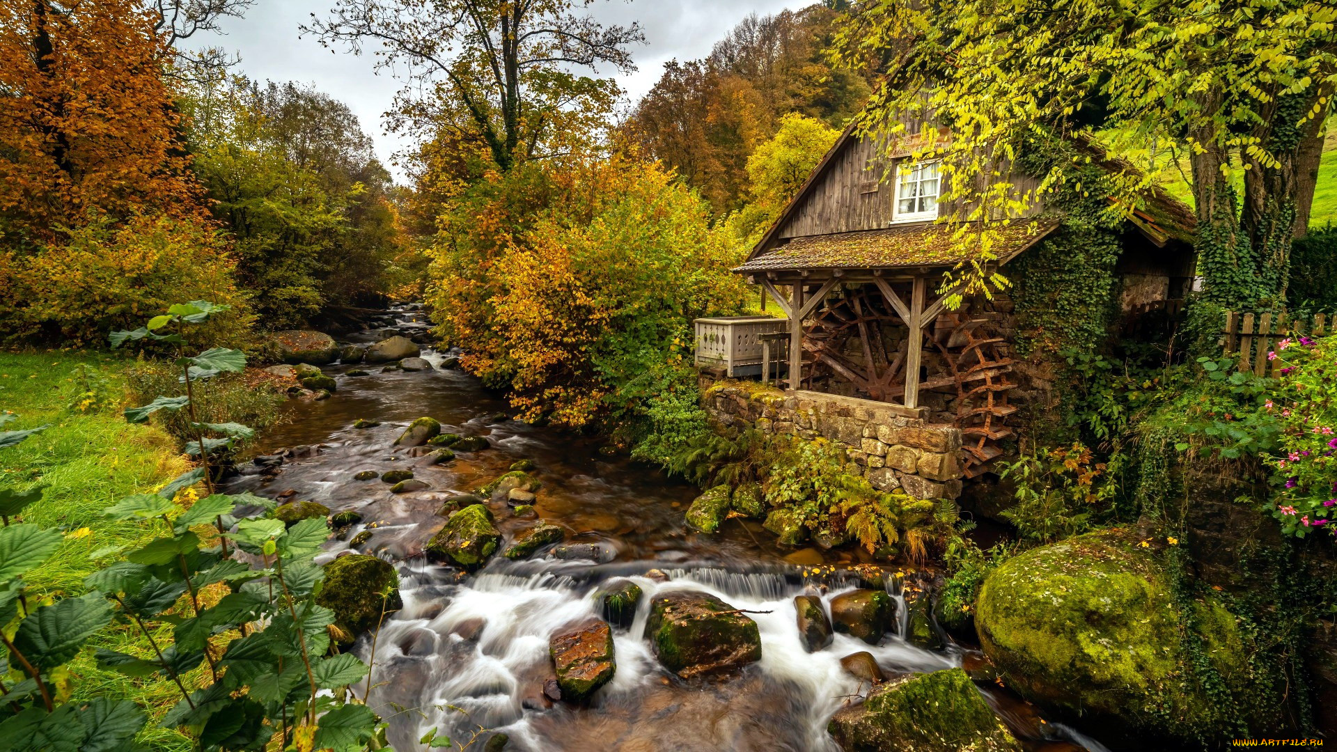 watermill, in, black, forest, germany, разное, мельницы, watermill, in, black, forest