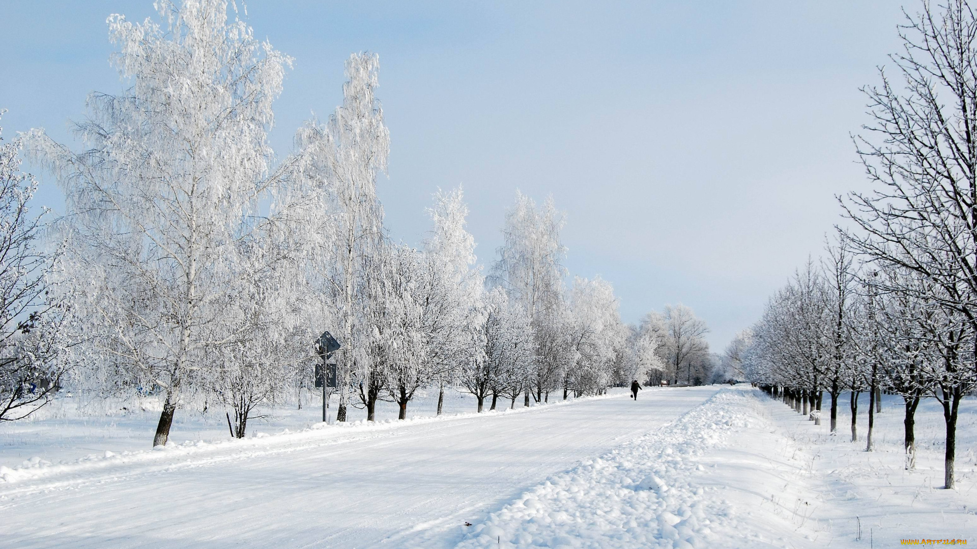 природа, зима, иний, деревья, снег, дорога