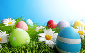 Картинка праздничные пасха яйца цветы трава свет небо весна