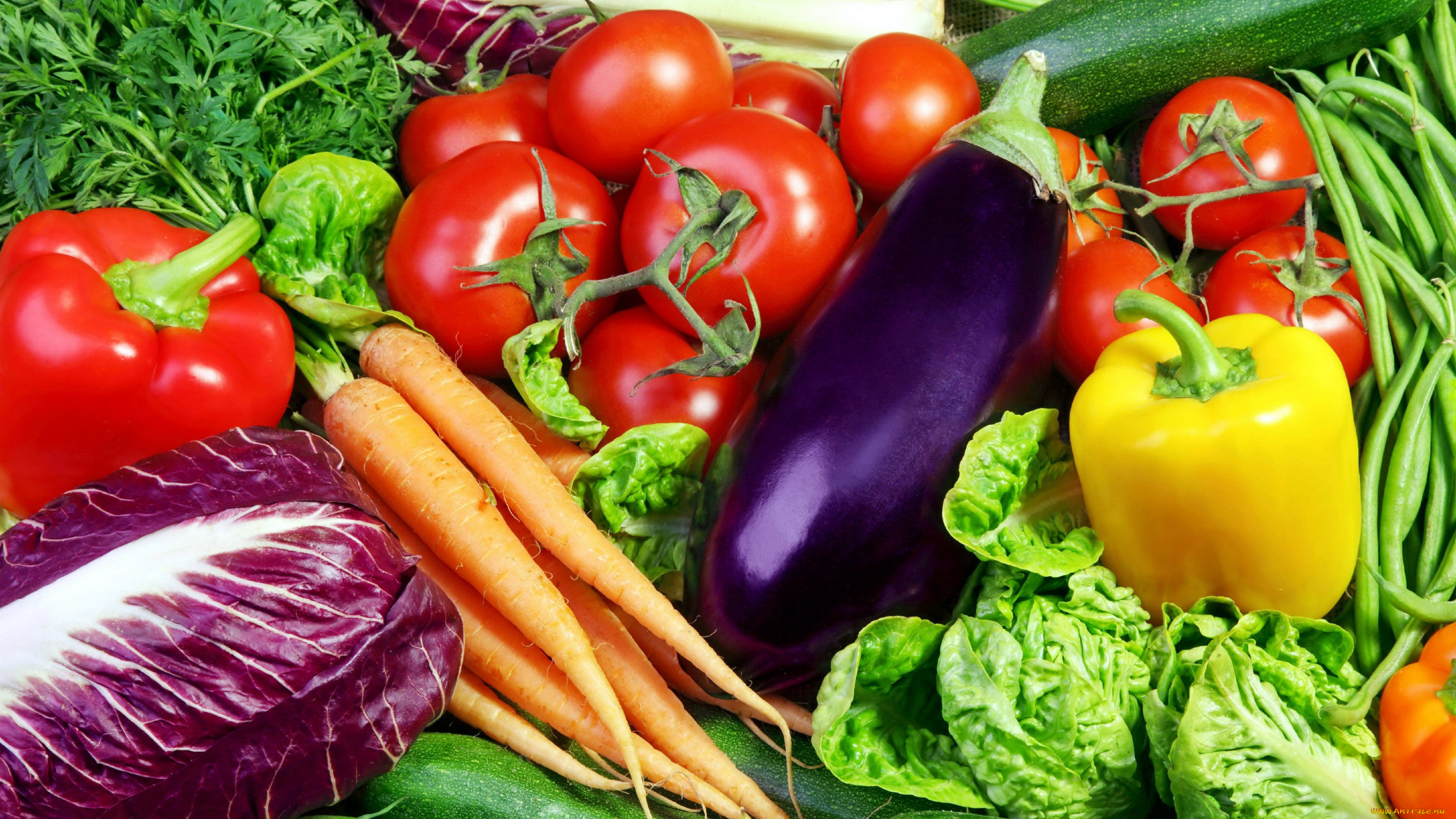 еда, овощи, морковь, перец, баклажан, помидоры, салат, зелень, томаты