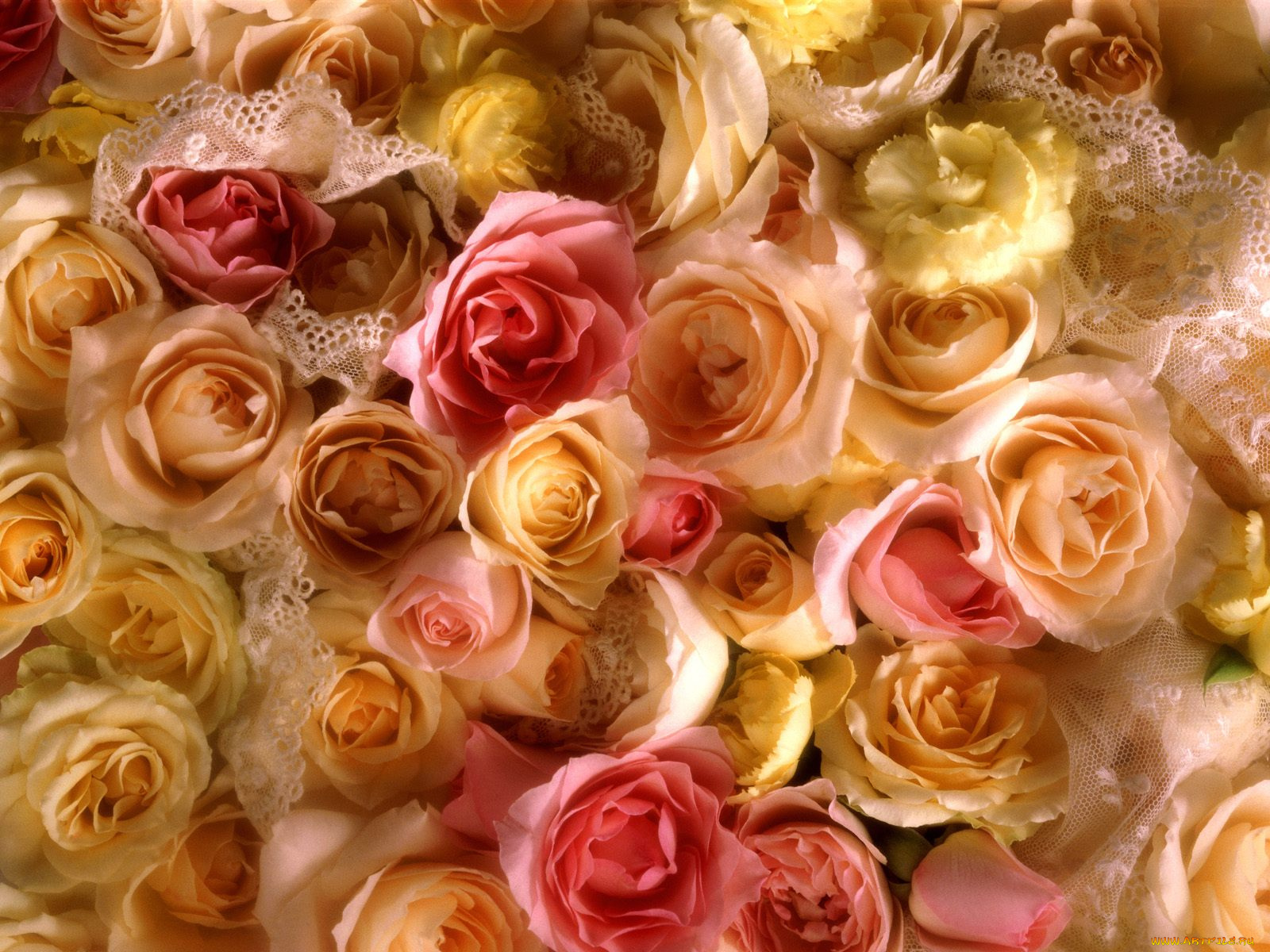 rose, bridal, bouquet, цветы, розы