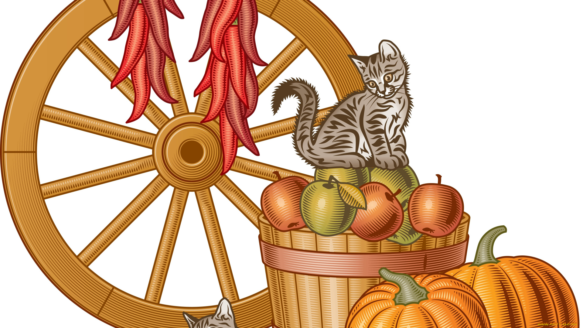 векторная, графика, животные, , animals, тыквы, яблоки, перец, кошки, колесо