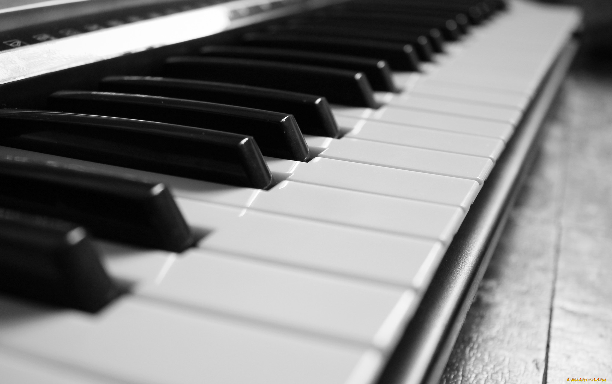 музыка, -музыкальные, инструменты, пианино, рояль, клавиши, макро