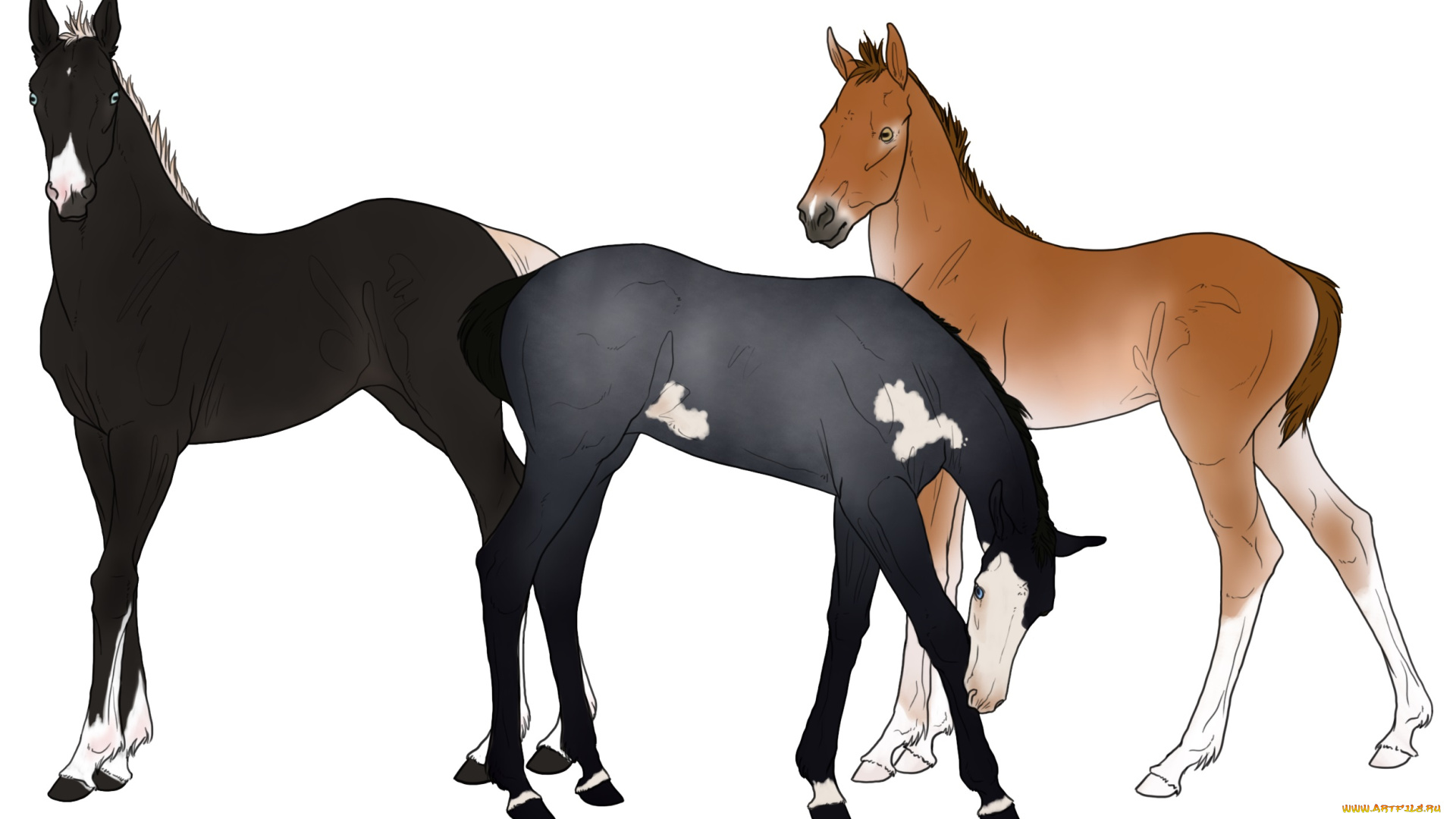 рисованные, животные, лошади, лошадки