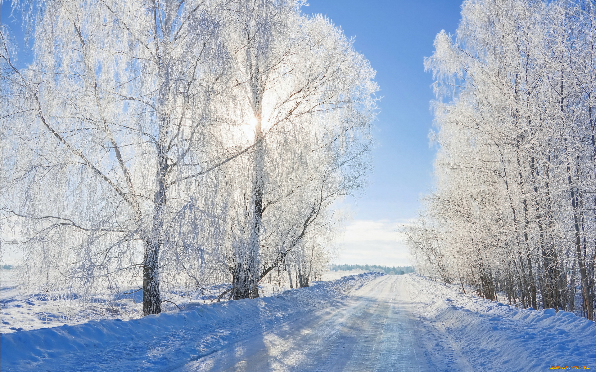 природа, дороги, снег, деревья, дорога