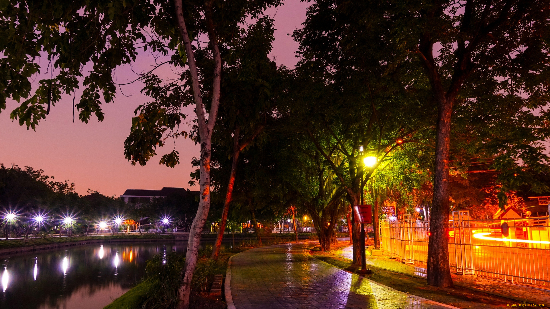 таиланд, города, -, огни, ночного, города, фонари, аллея, деревья