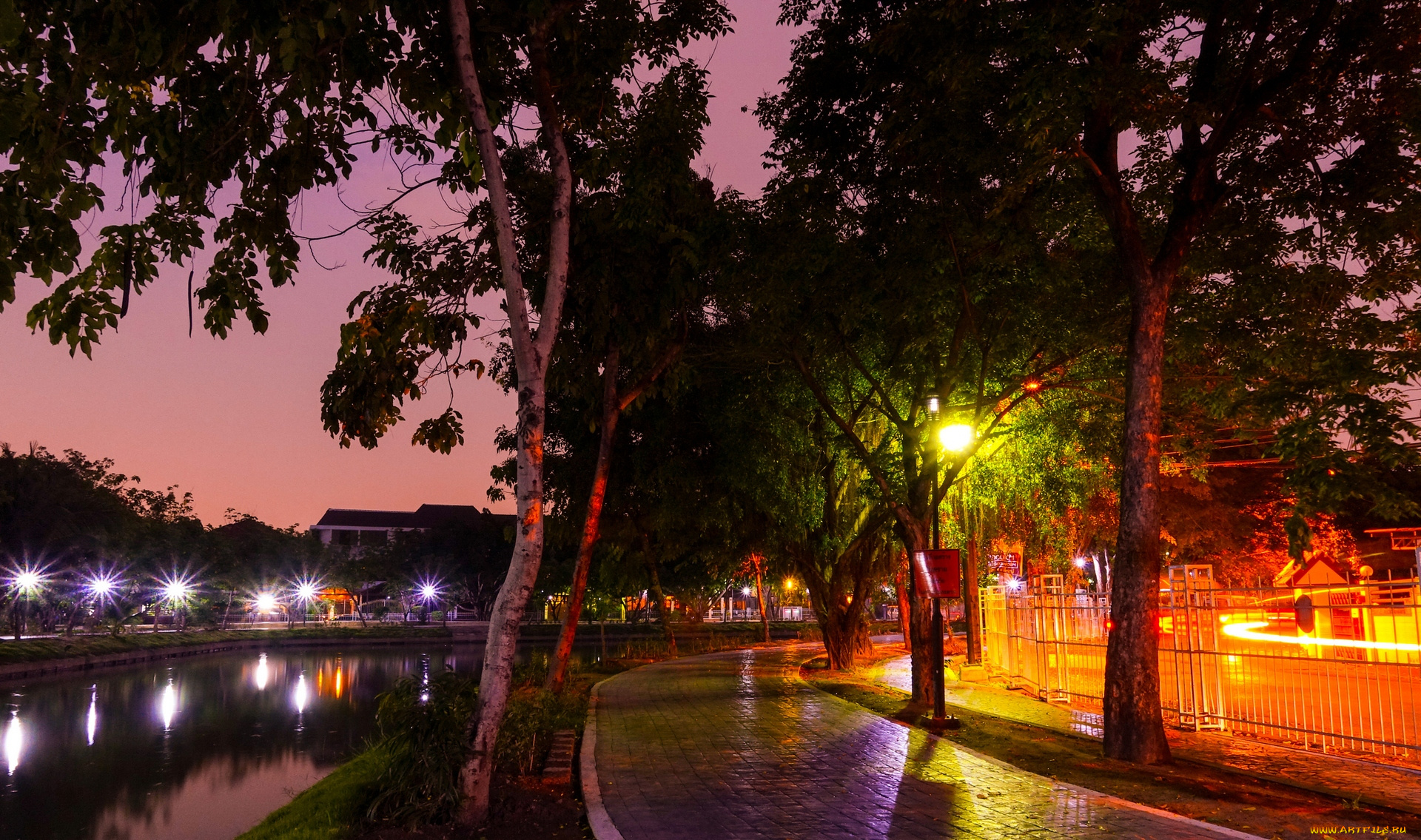 таиланд, города, -, огни, ночного, города, фонари, аллея, деревья