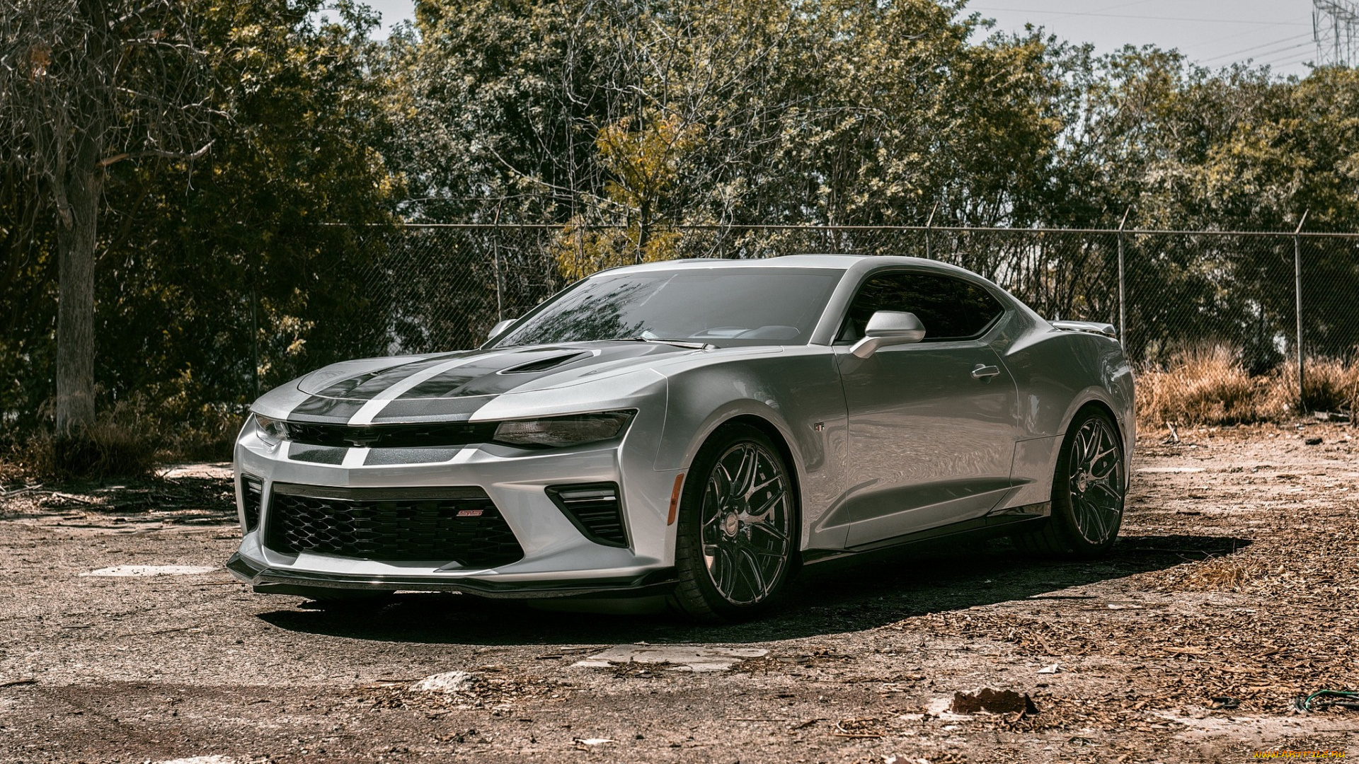 chevrolet, camaro, ss, автомобили, camaro, chevrolet, ss, super, sport, легендарный, американский, мускулистый, парень