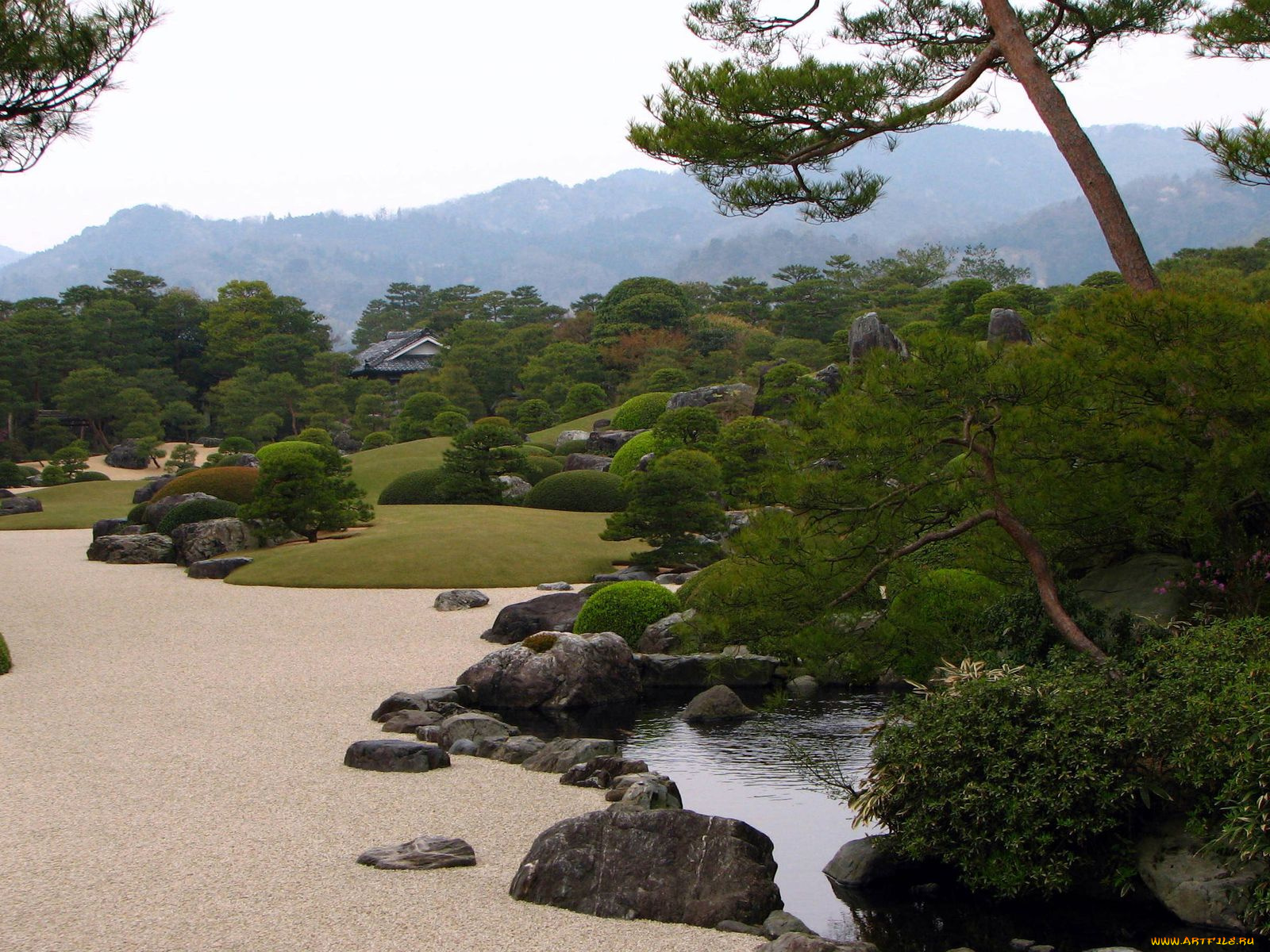 природа, парк, япония, сад