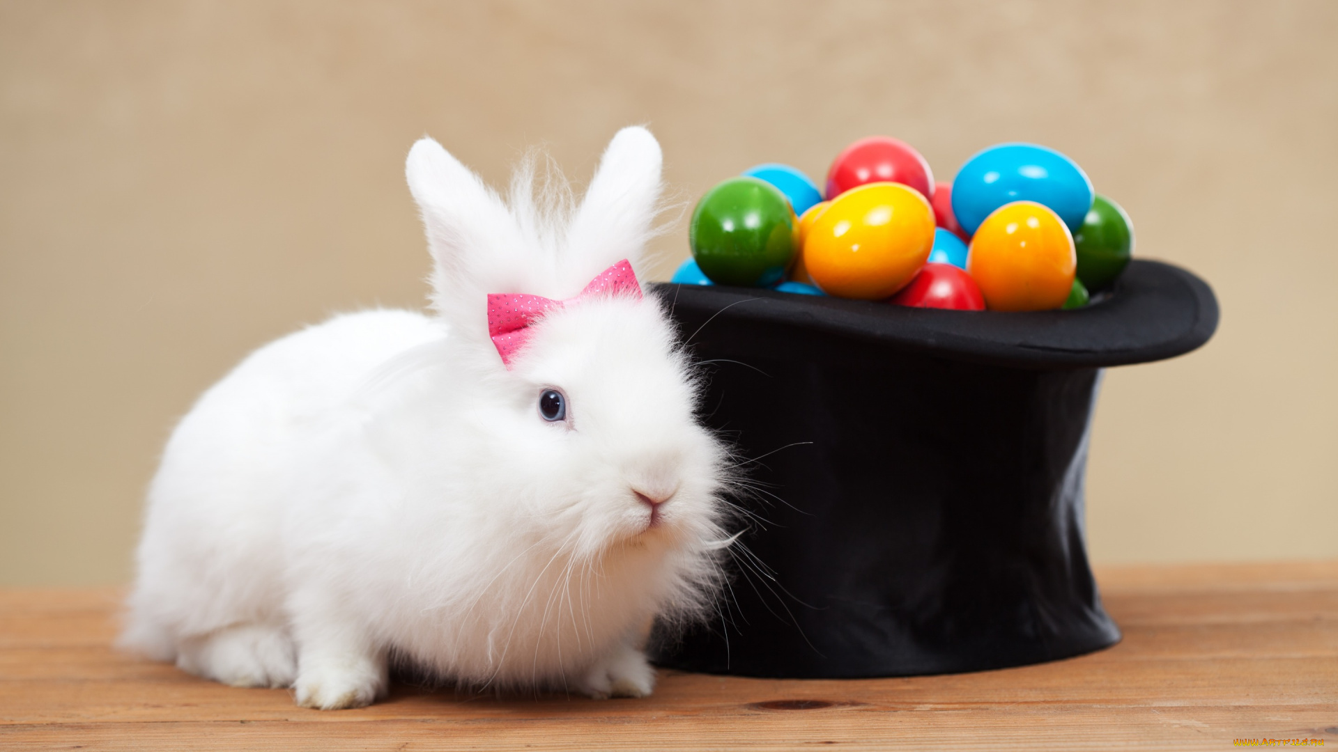 животные, кролики, , зайцы, праздник, кролик, белый, шляпа, spring, eggs, цилиндр