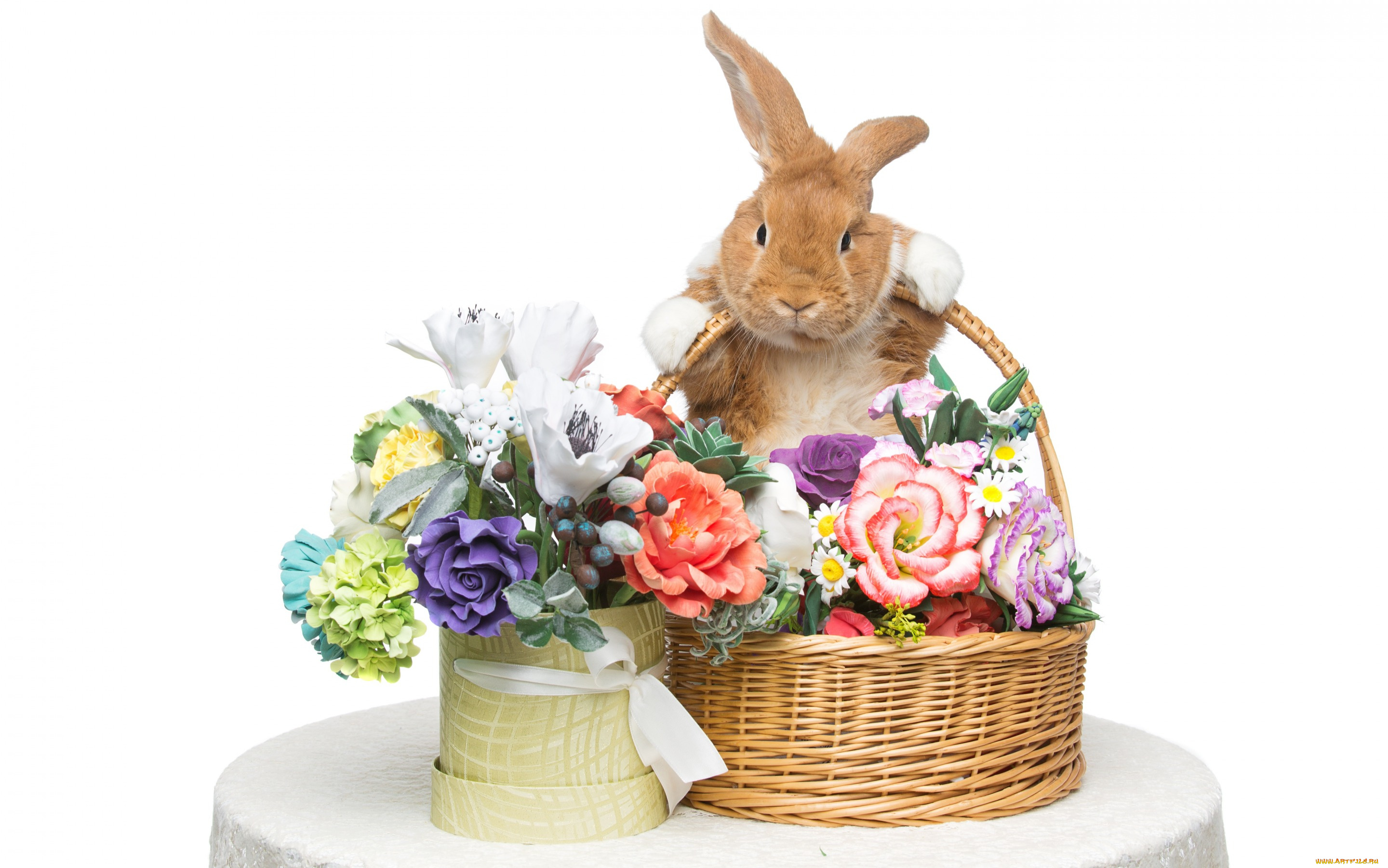 животные, кролики, , зайцы, цветы, flowers, spring, eggs, кролик, happy, rabbit