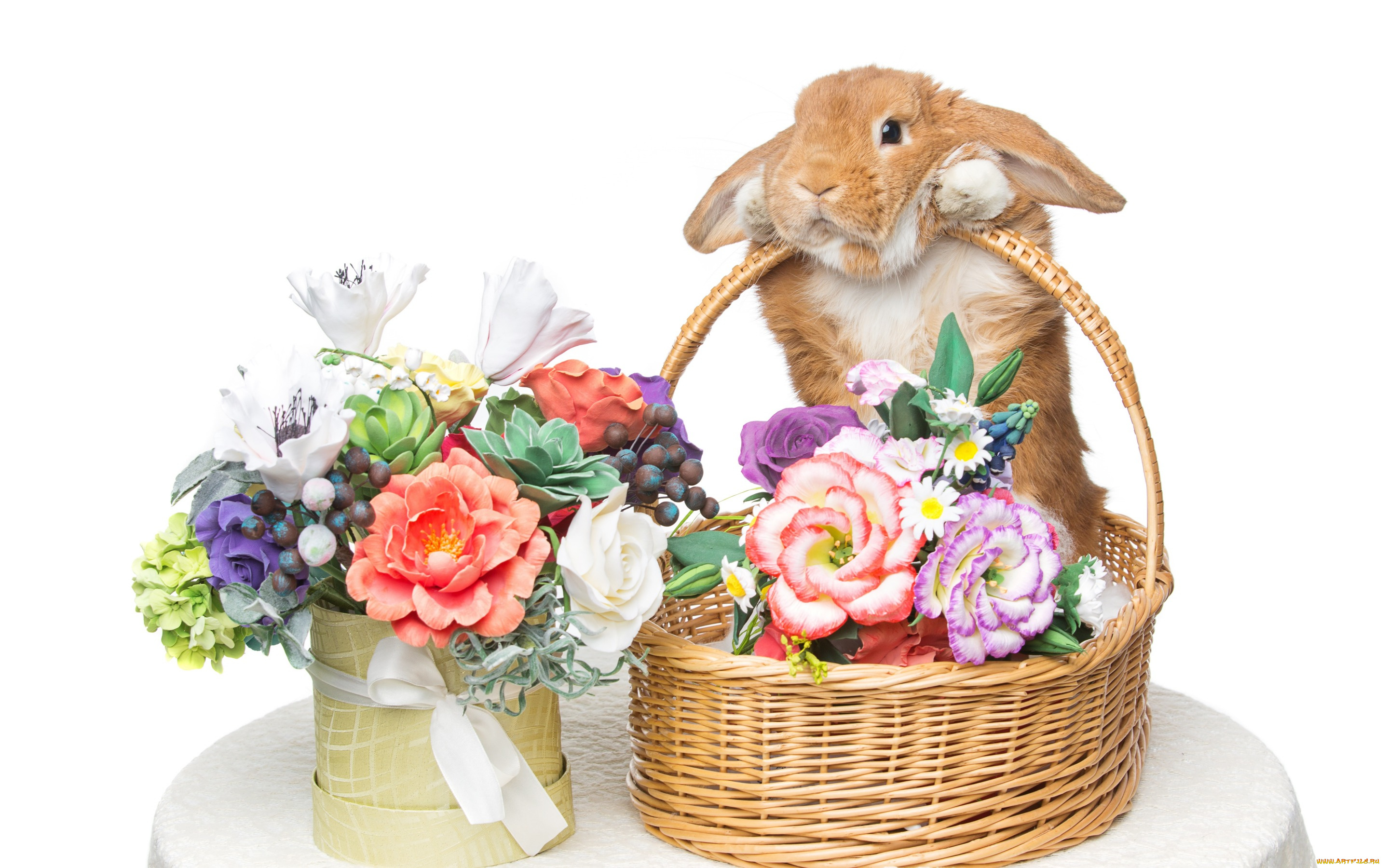 животные, кролики, , зайцы, eggs, кролик, rabbit, happy, цветы, flowers, spring