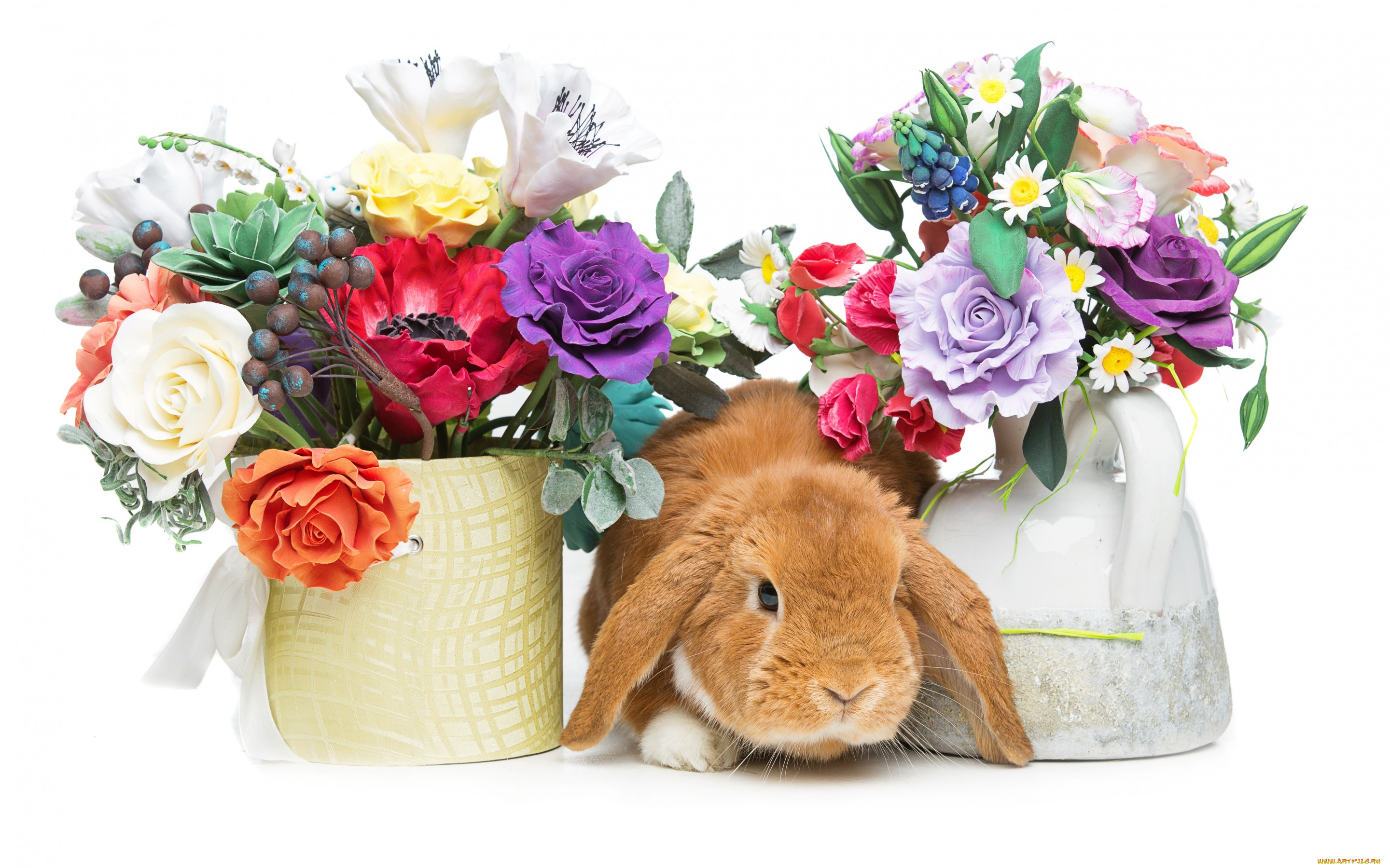 животные, кролики, , зайцы, spring, eggs, кролик, happy, rabbit, flowers, цветы