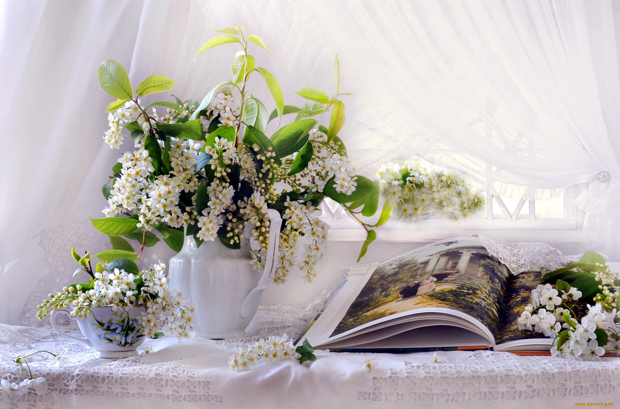 цветы, черемуха, книга, букет