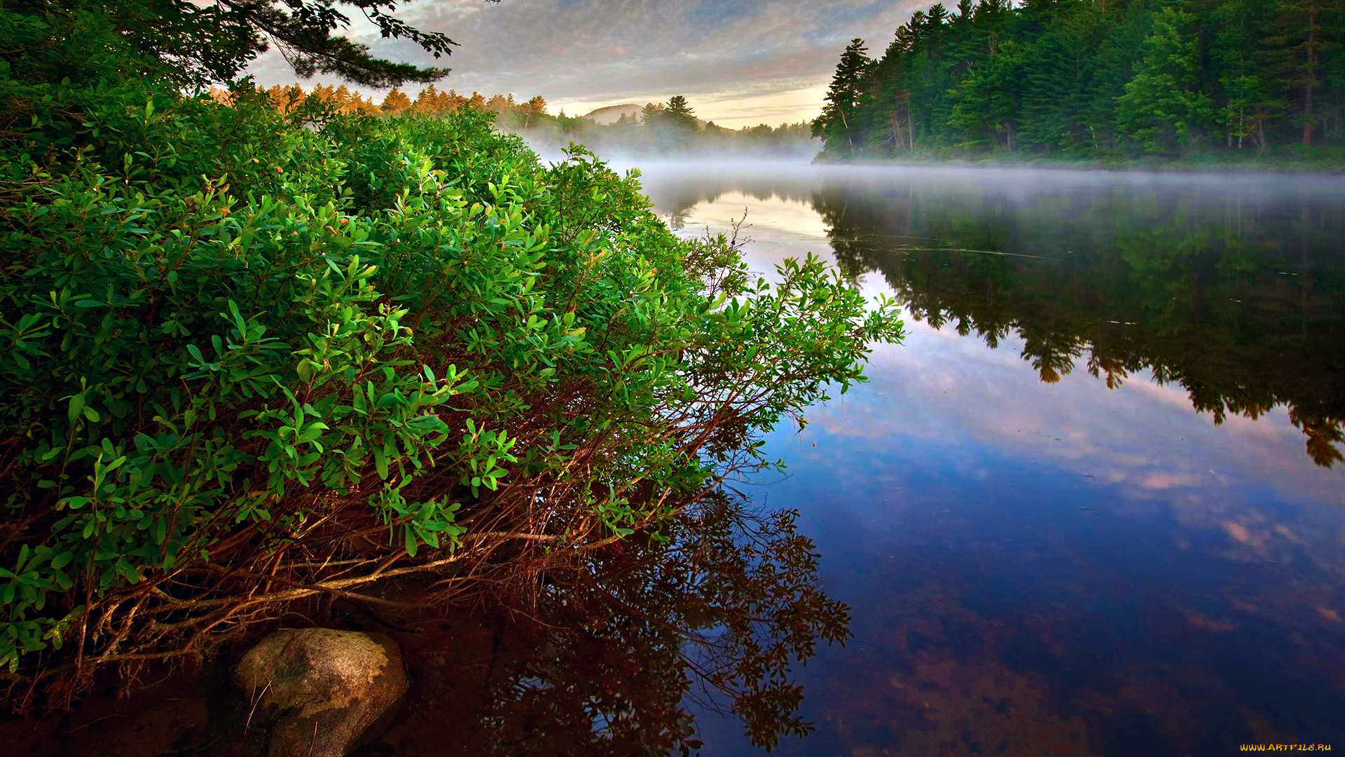early, morning, природа, реки, озера, река, утро, туман, лес