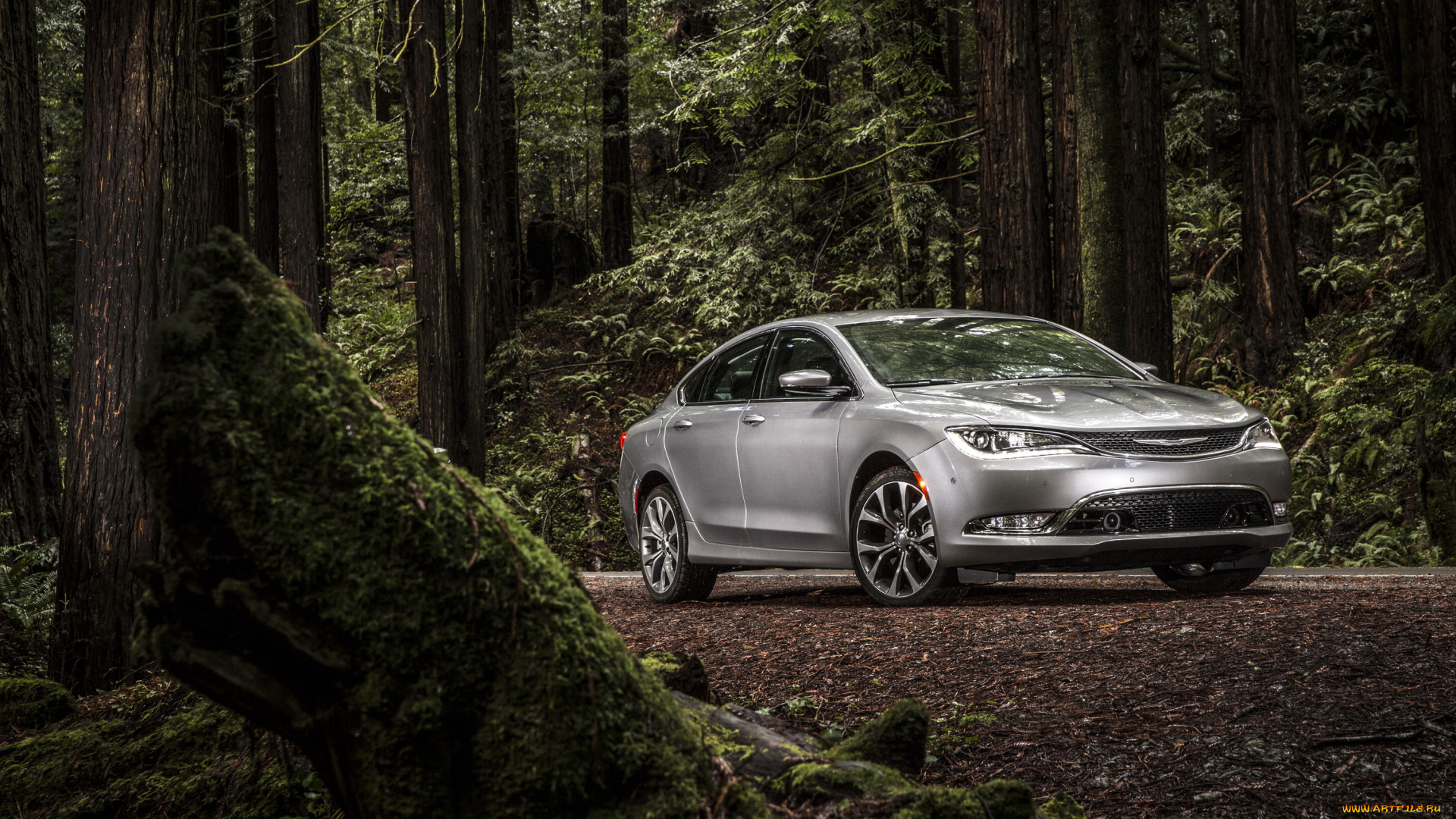 2015, chrysler, 200, sedan, автомобили, chrysler, лес, серебристый