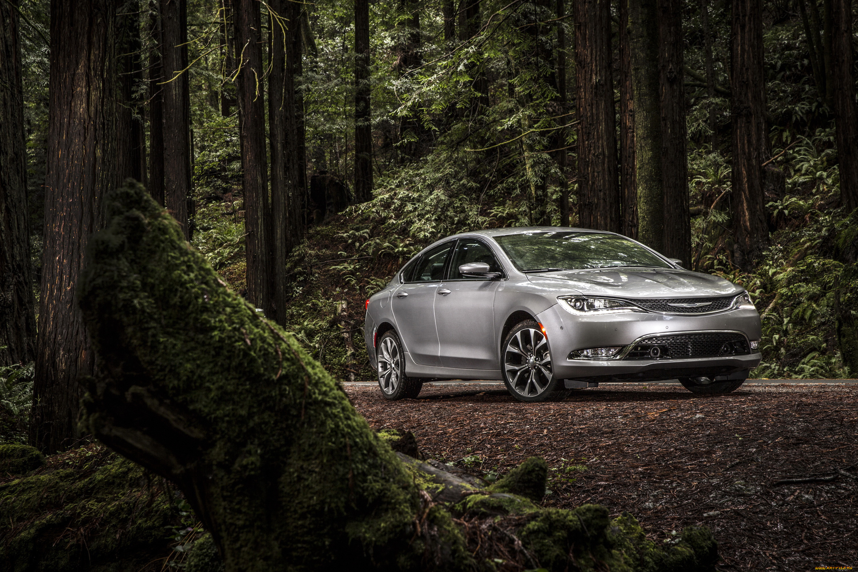 2015, chrysler, 200, sedan, автомобили, chrysler, лес, серебристый