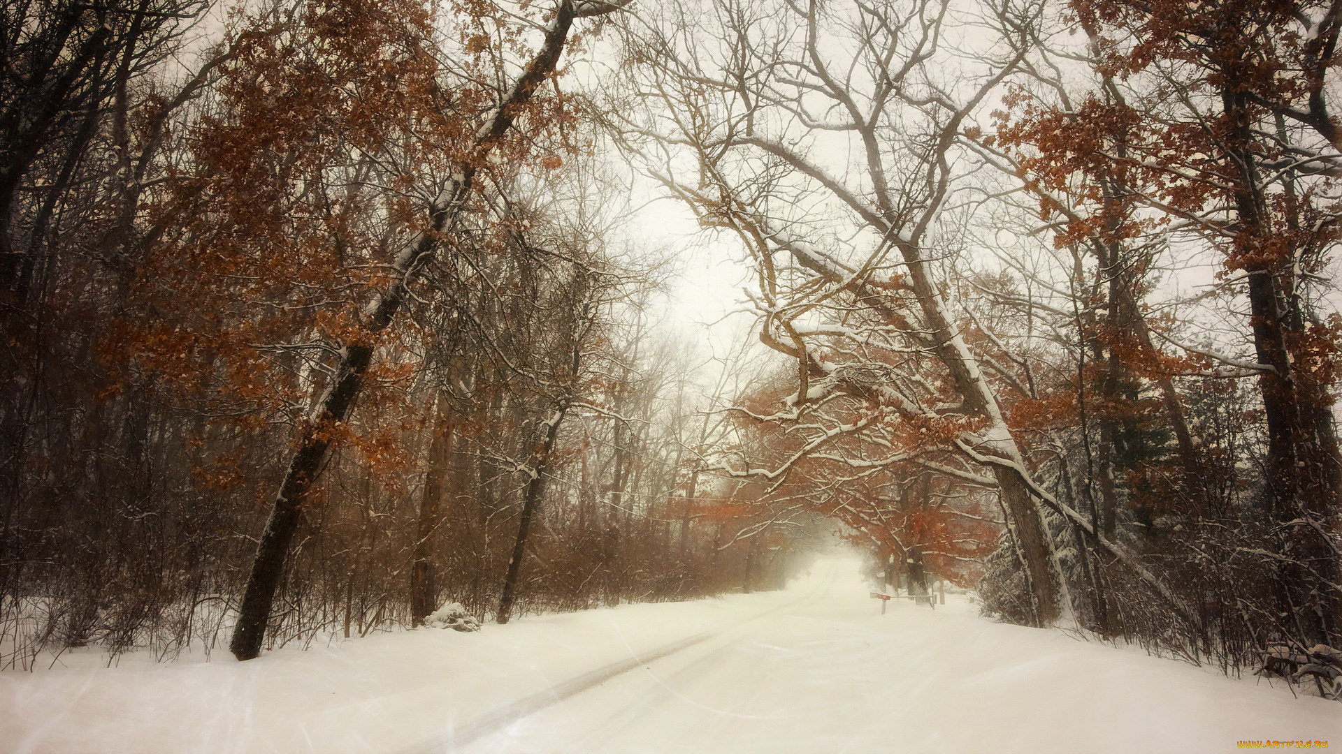 природа, зима, пейзаж, снег, дорога