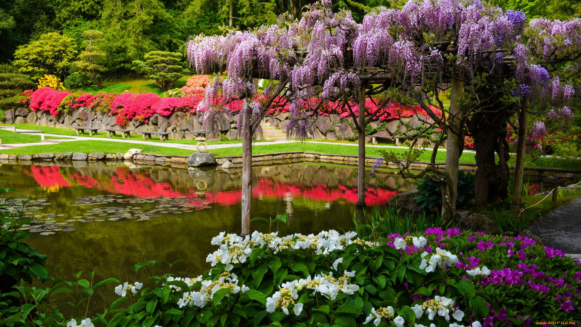 seattle, japanese, garden, washington, природа, парк, seattle, japanese, garden