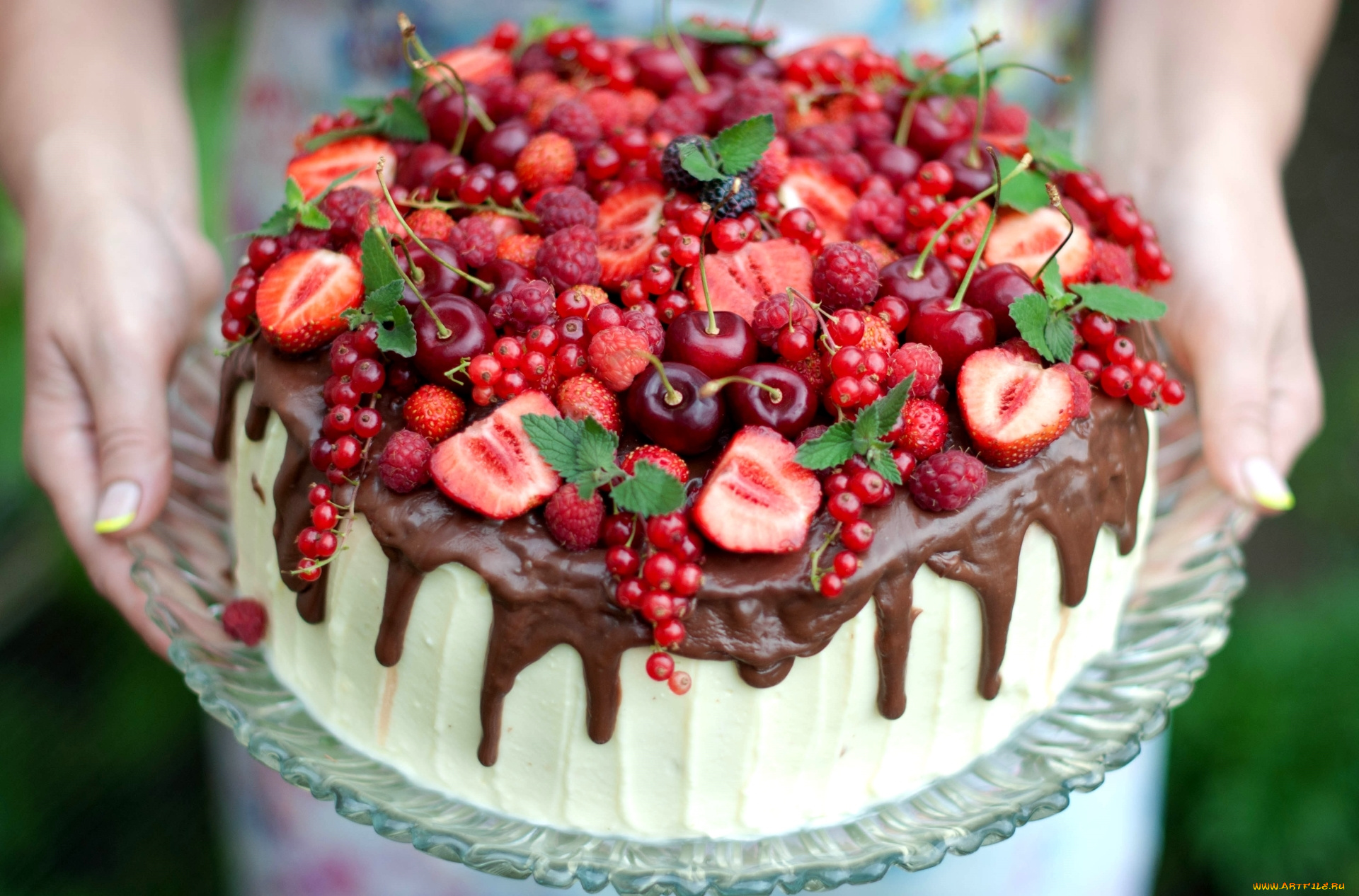 еда, торты, смородина, малина, клубника, шоколад, мята, ягоды, вишня, торт