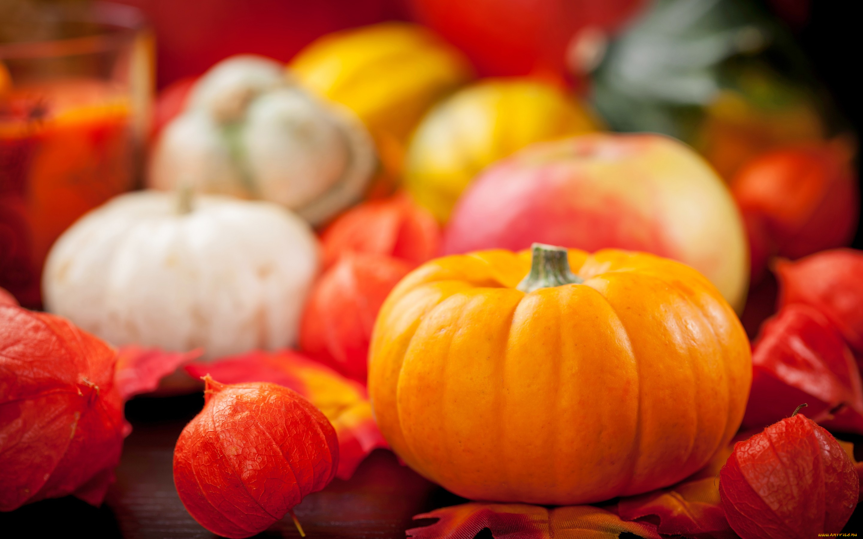 еда, тыква, still, life, vegetables, осень, урожай, овощи, autumn, harvest, pumpkin, натюрморт