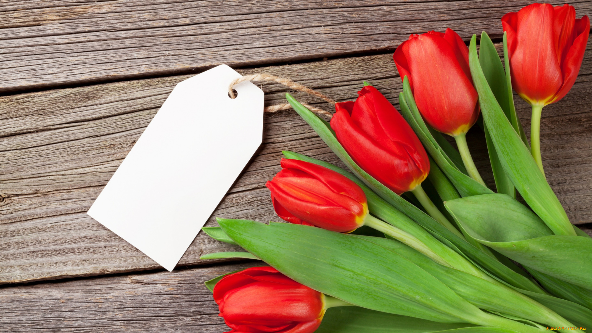 цветы, тюльпаны, wood, love, flowers, red, букет, любовь, tulips, romantic